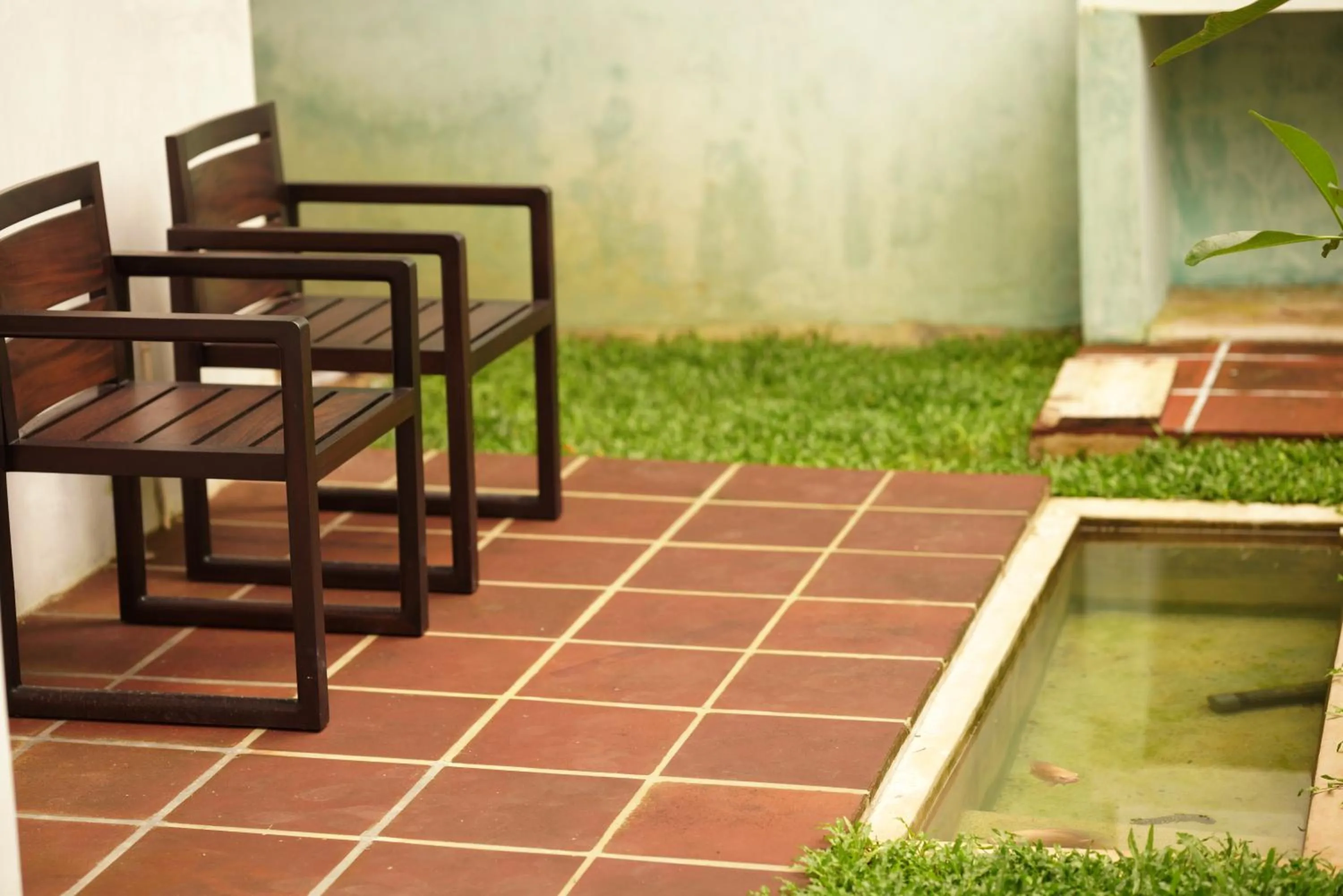 Garden view in Temple Tree