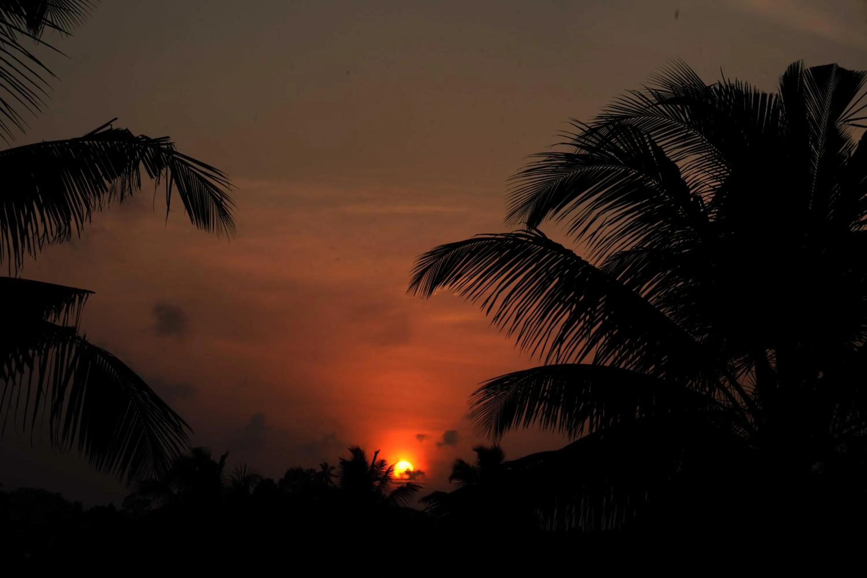 Property building in Temple Tree