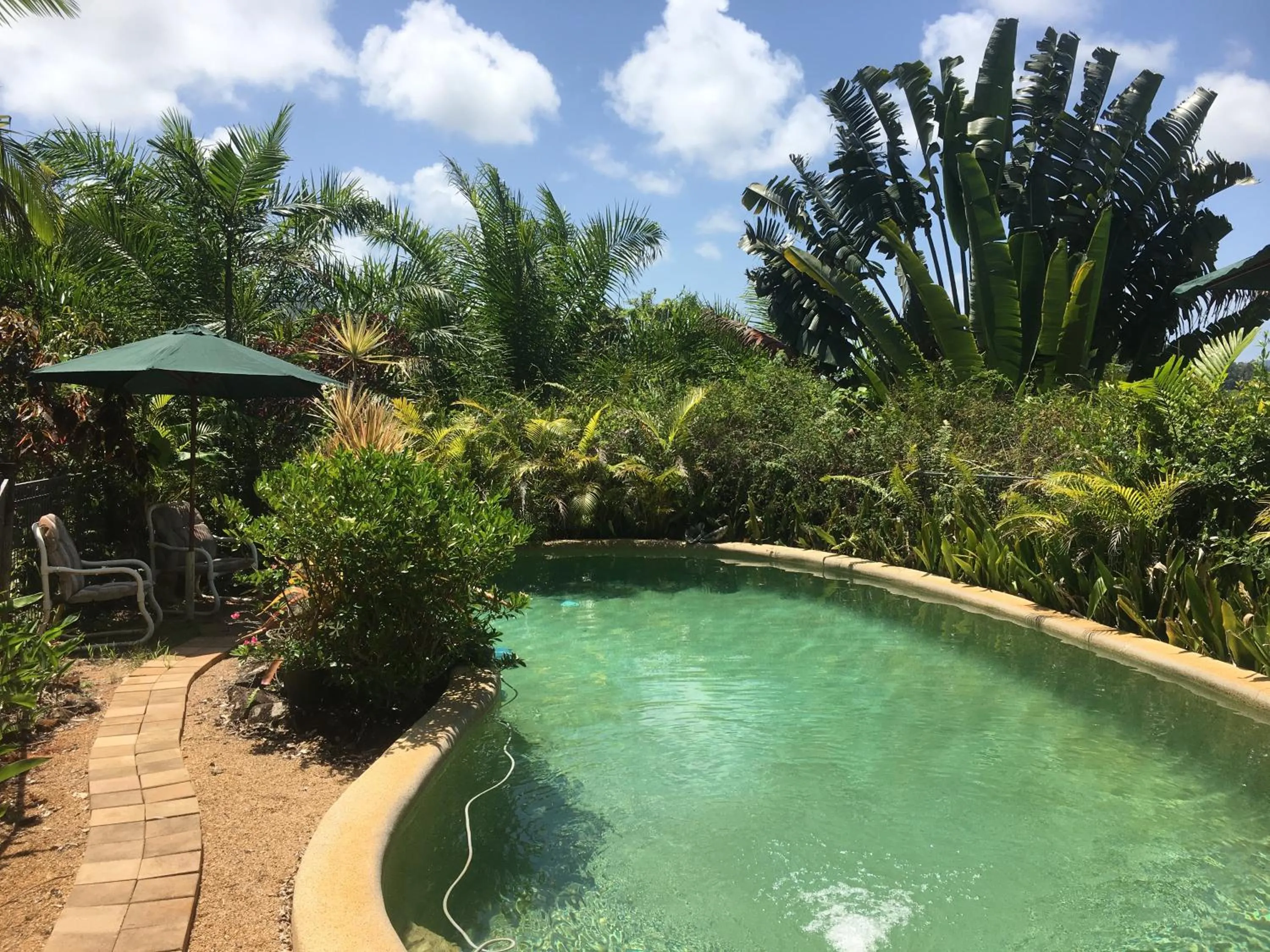 Swimming pool in Mission Beach Escape BnB