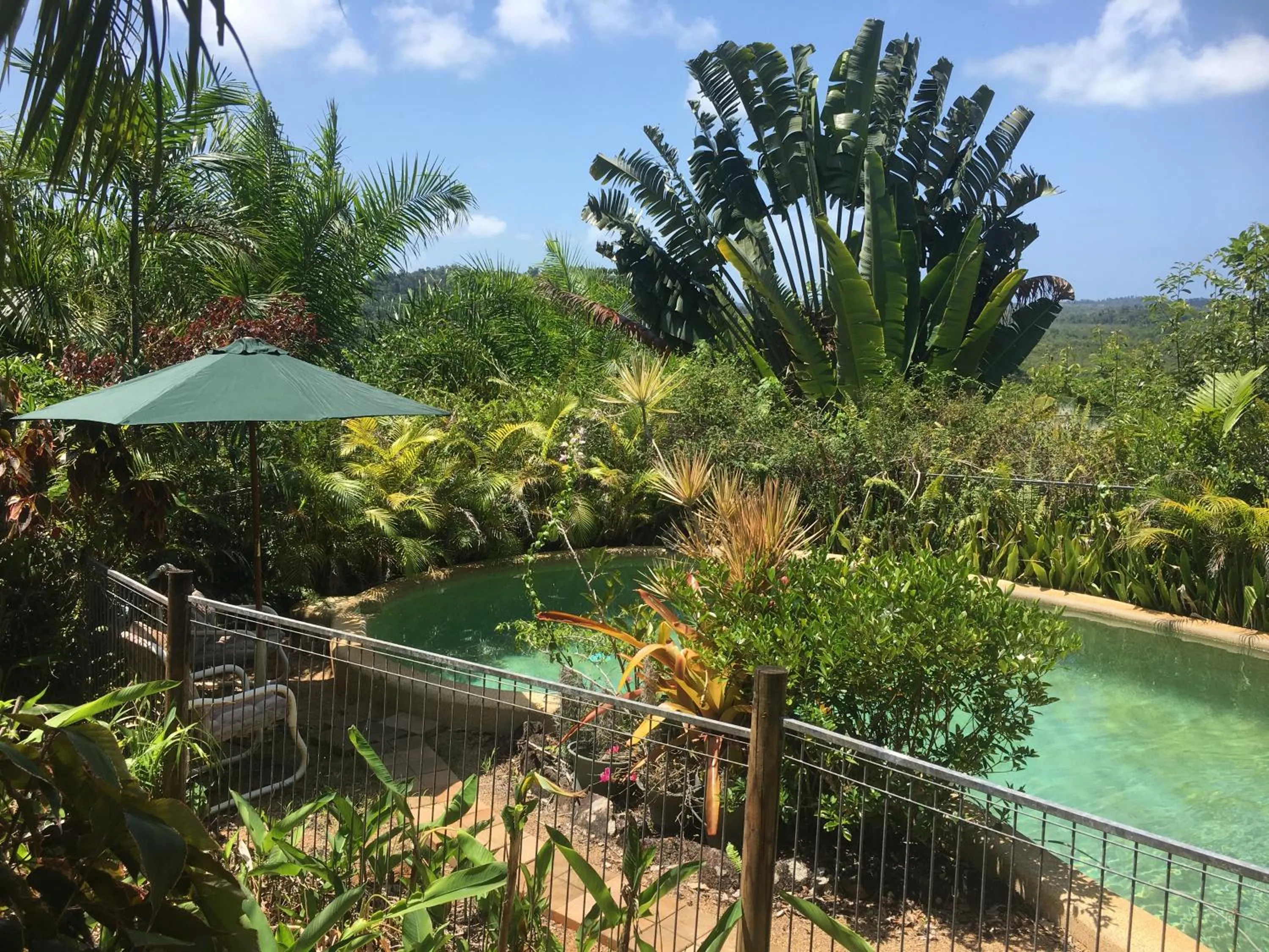 Swimming pool in Mission Beach Escape BnB