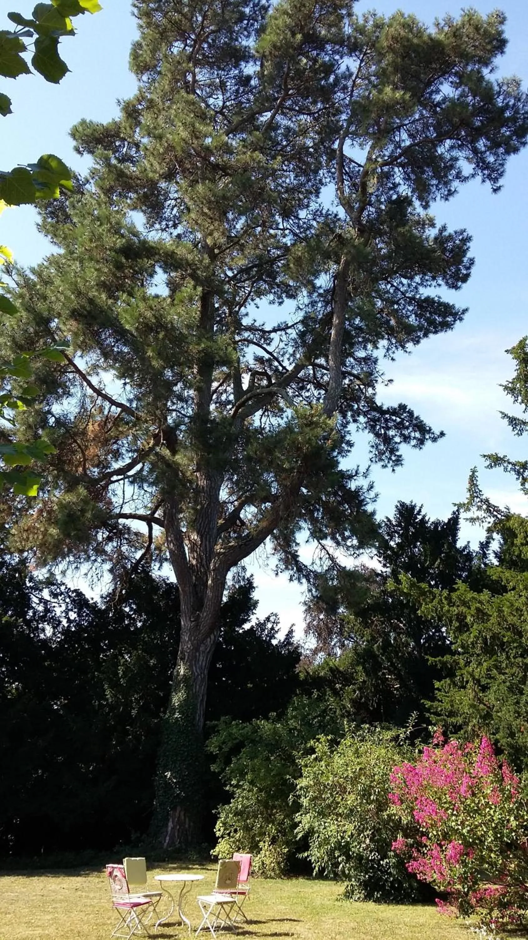 Garden in La Héraudière Bed & Breakfast