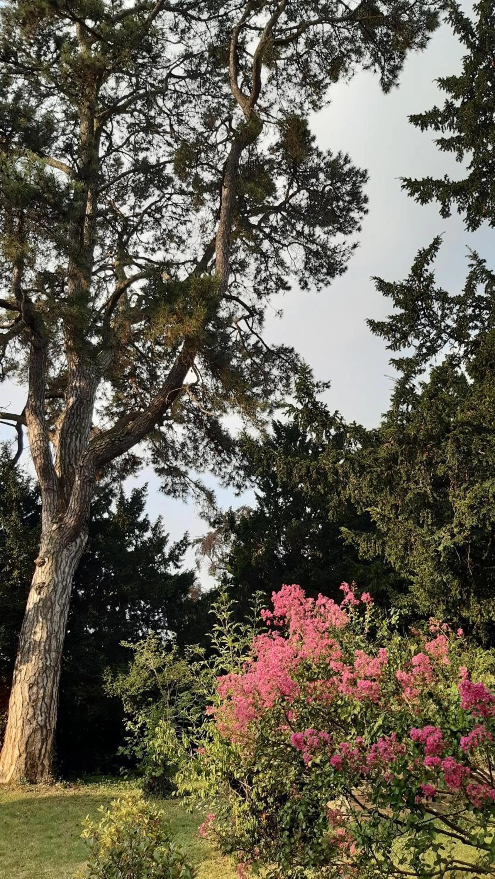 Garden in La Héraudière Bed & Breakfast