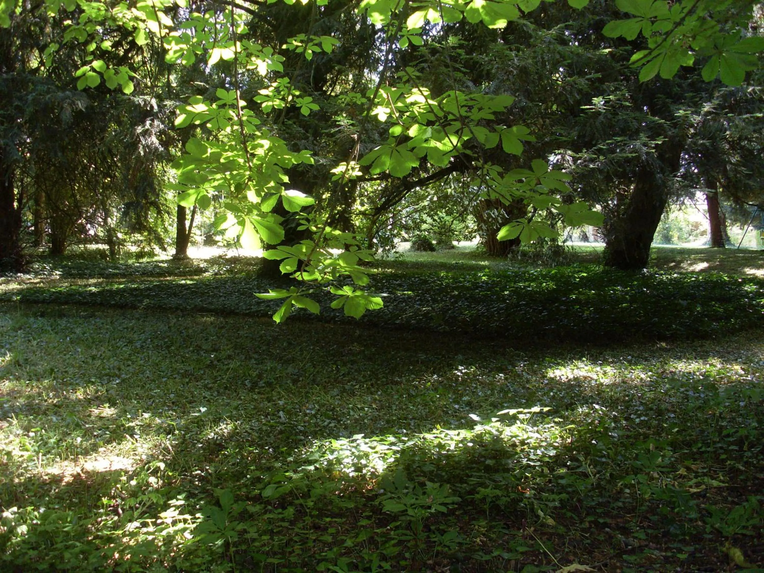 Garden in La Héraudière Bed & Breakfast