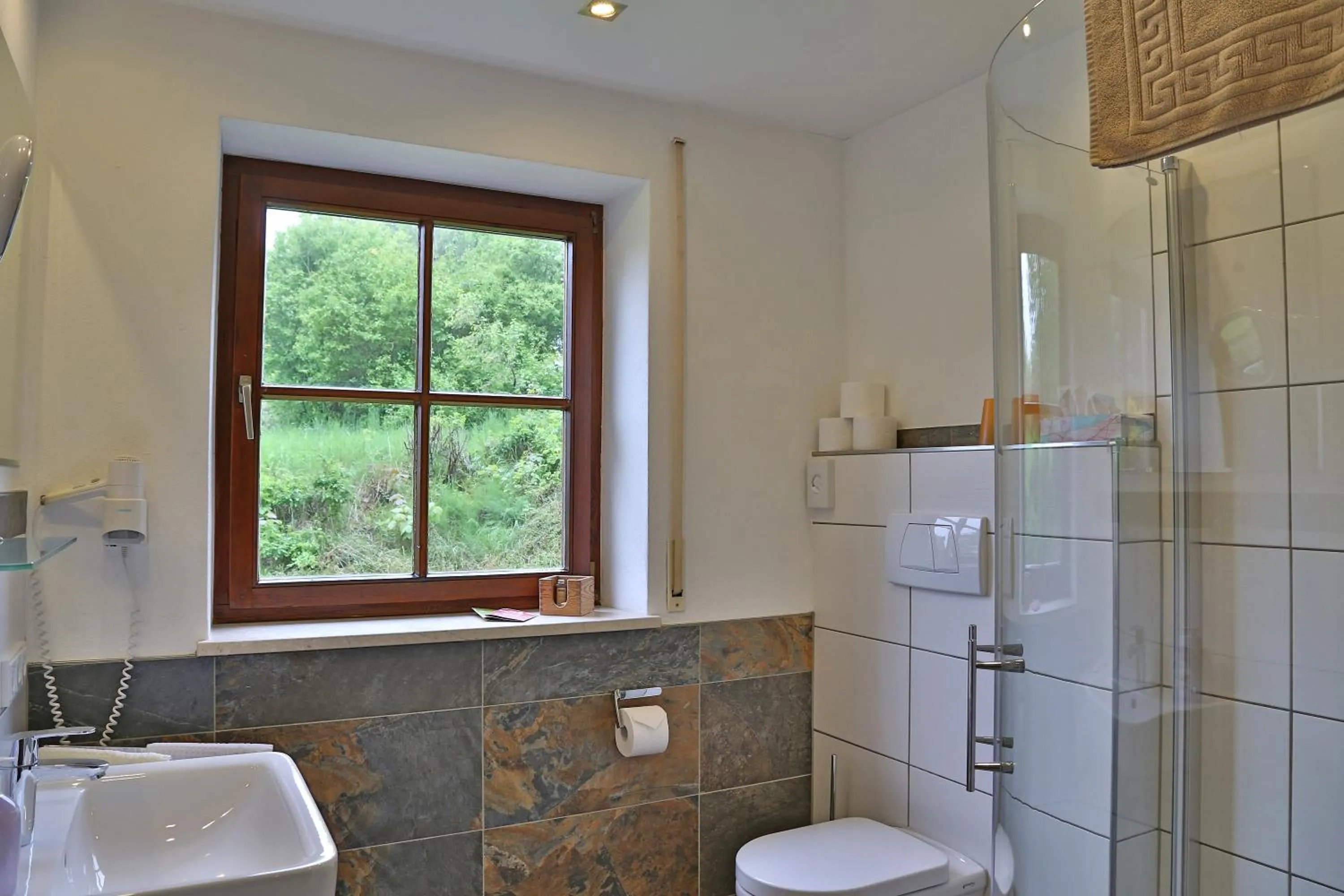 Toilet in Alpenstern Finy, Bio-Gästehaus