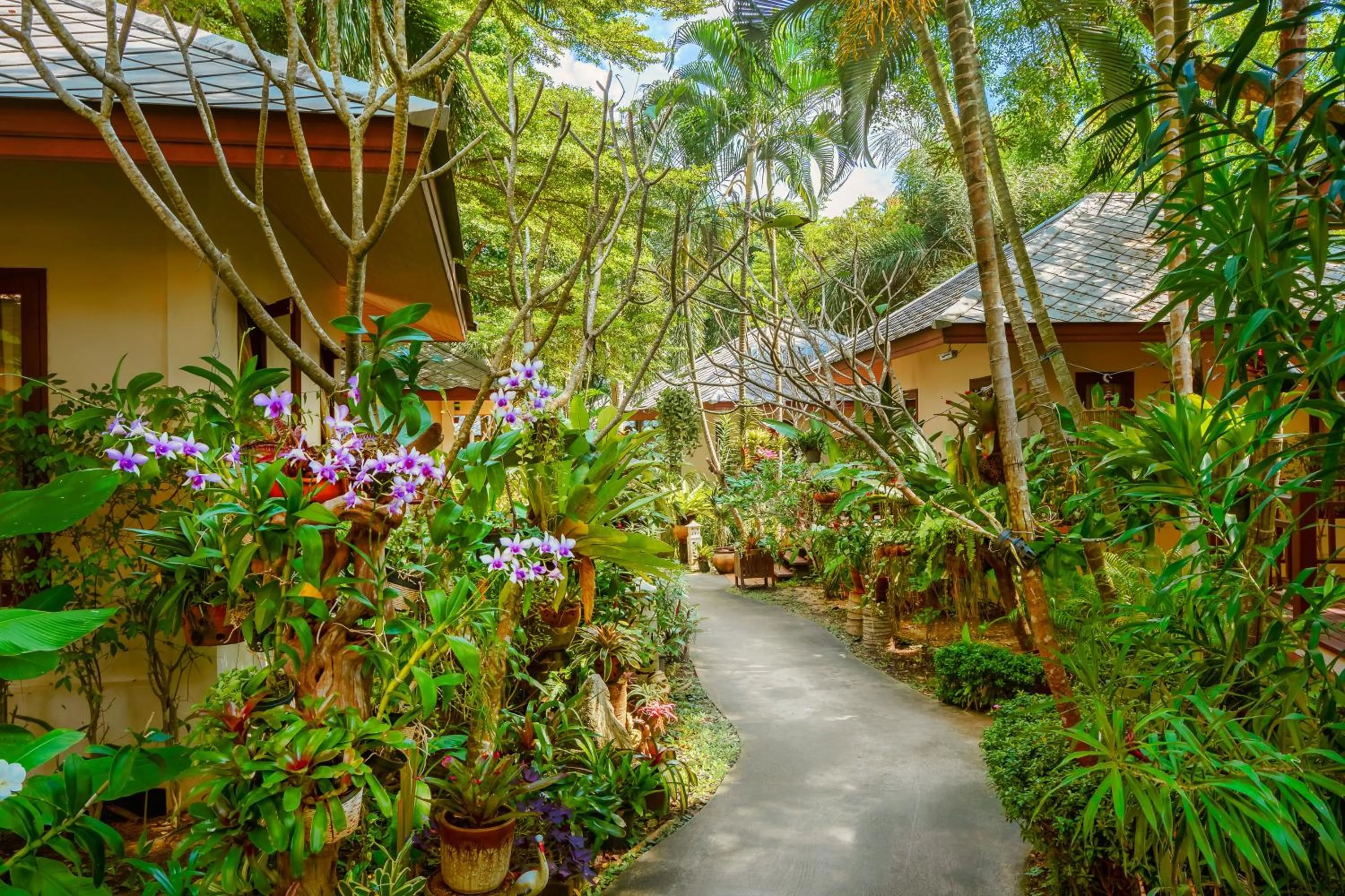 Garden in Promtsuk Buri