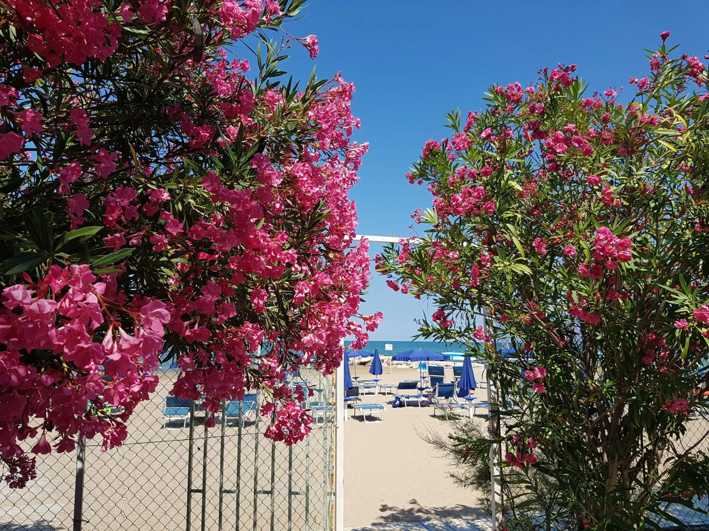 Beach in Hotel Gabbiano Beach