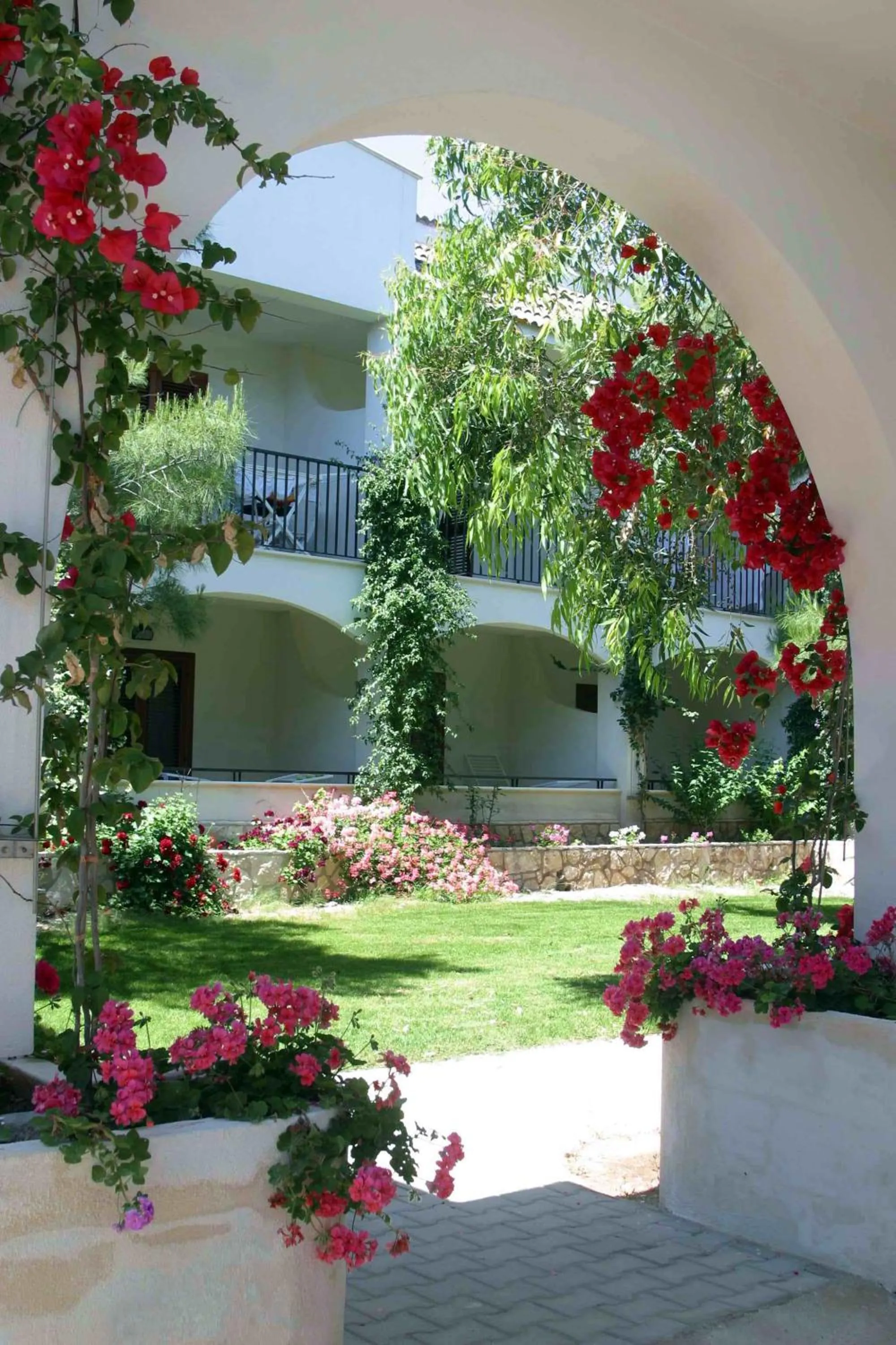 Garden in Hotel Gabbiano Beach