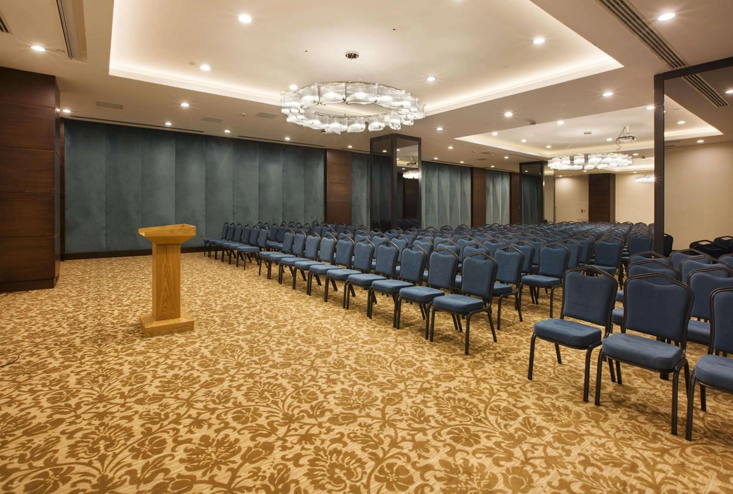 Meeting/conference room in Hilton Garden Inn Isparta