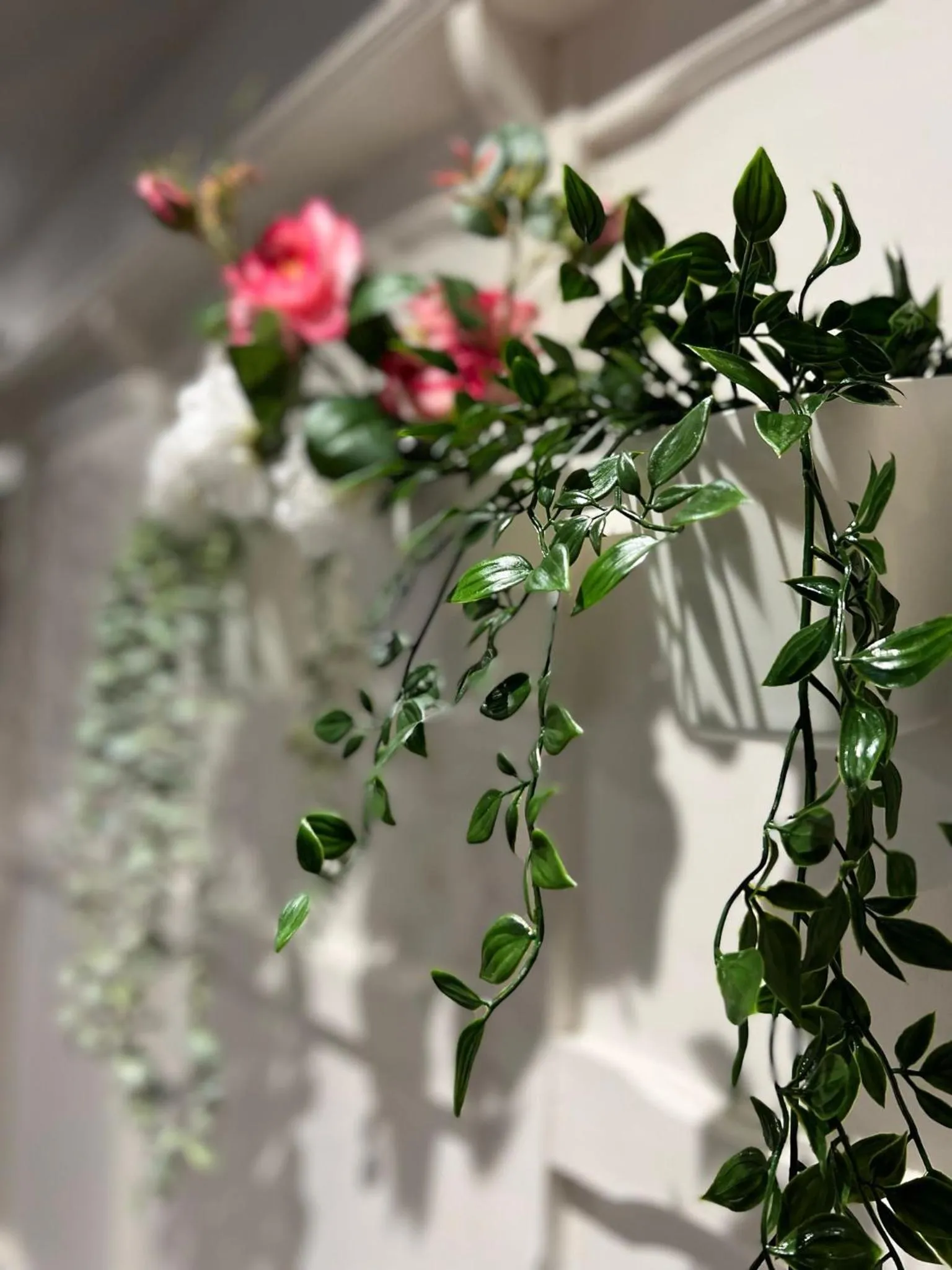 Restaurant/places to eat in The Georgian Hollies Hotel