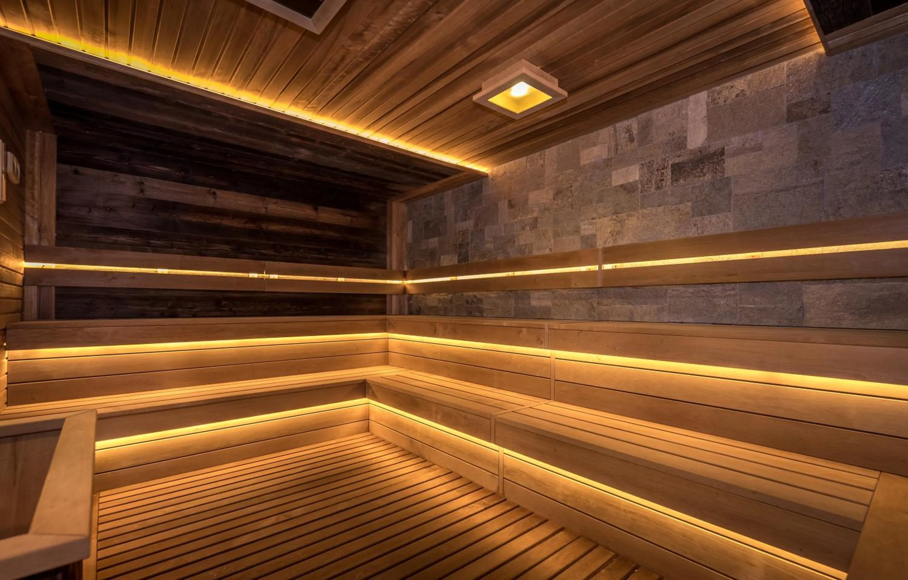 Sauna in Lion Bansko Hotel