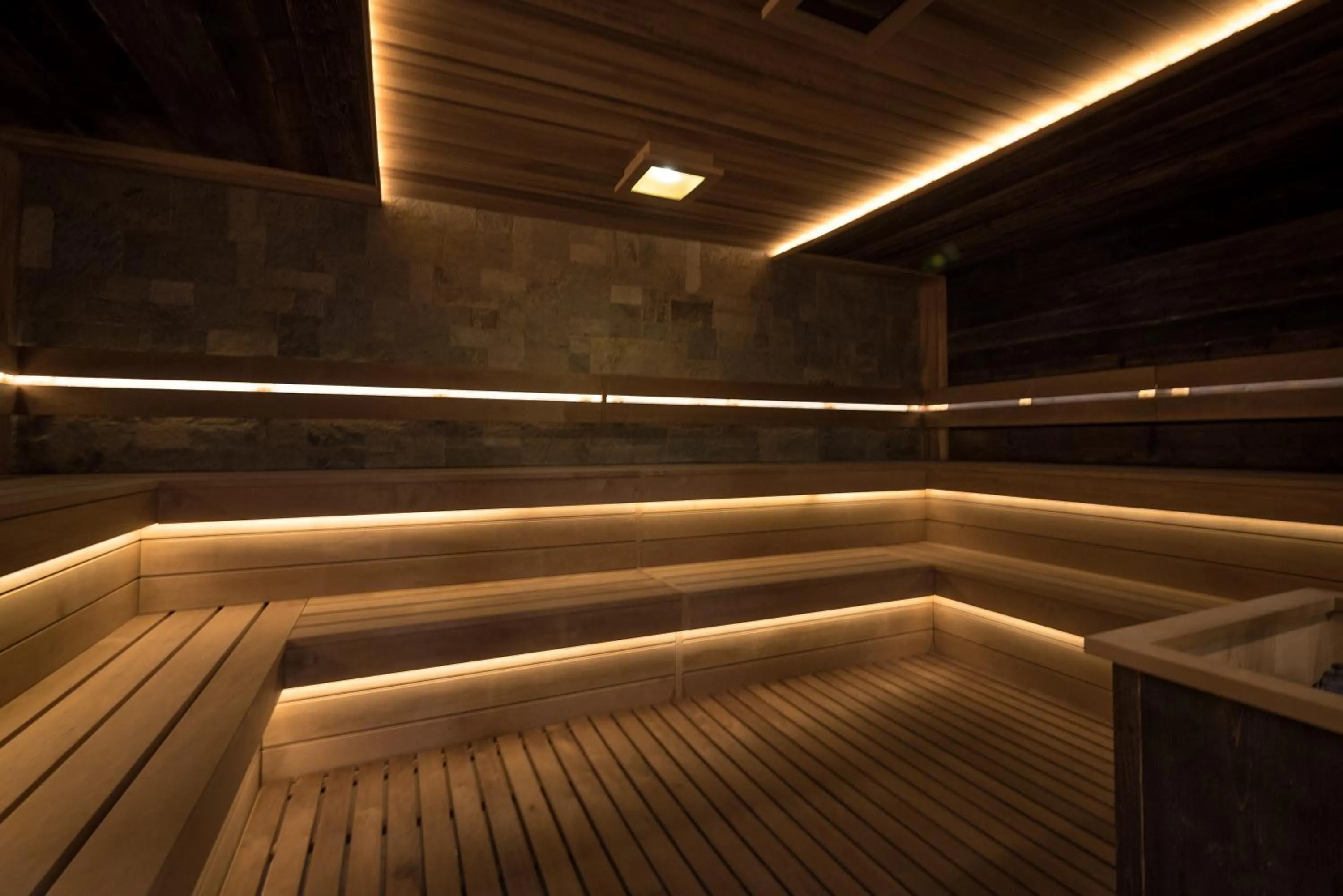 Sauna in Lion Bansko Hotel