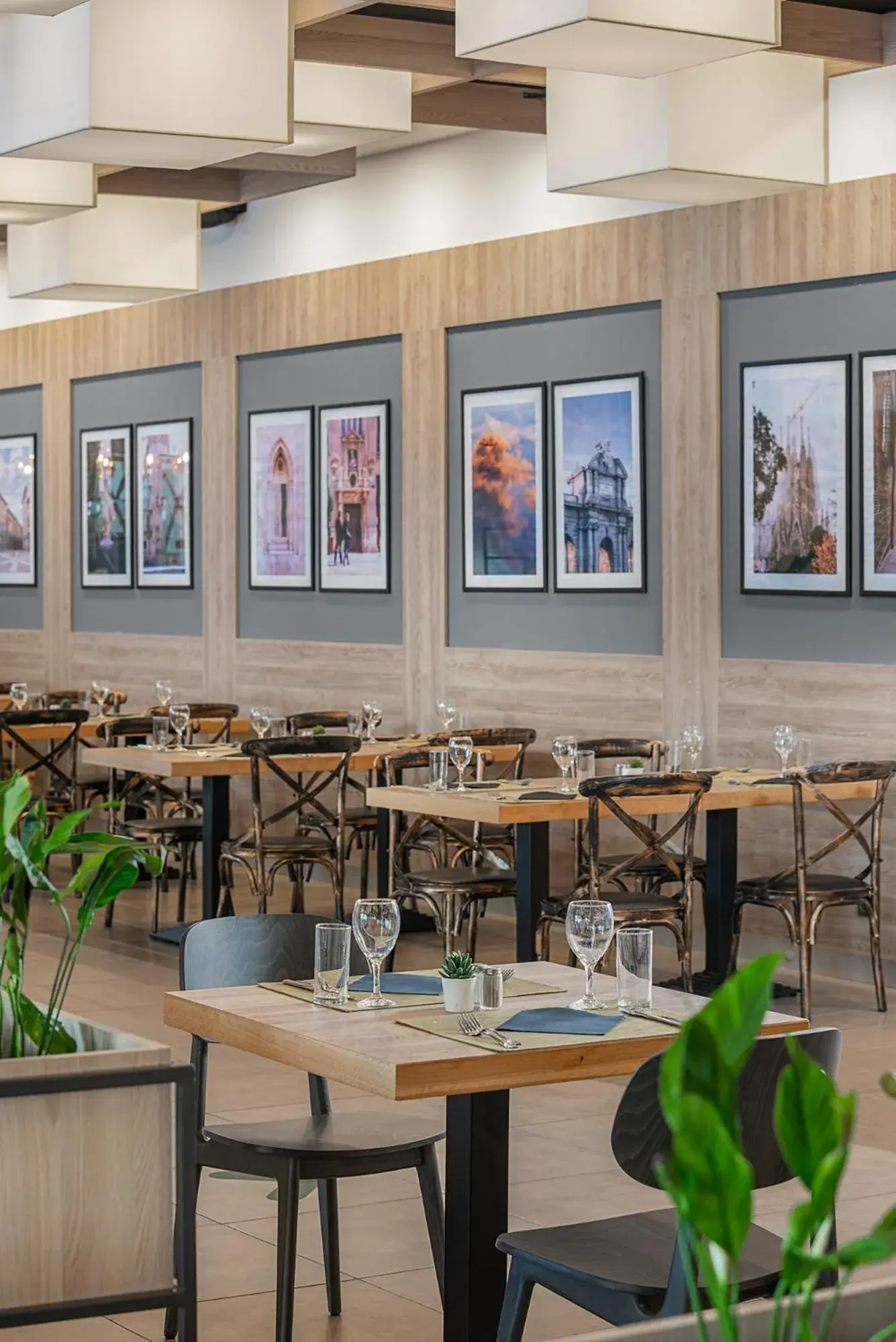 Restaurant/places to eat in Melia Sunny Beach All Inclusive Restaurant/places to eat in Melia Sunny Beach All Inclusive
