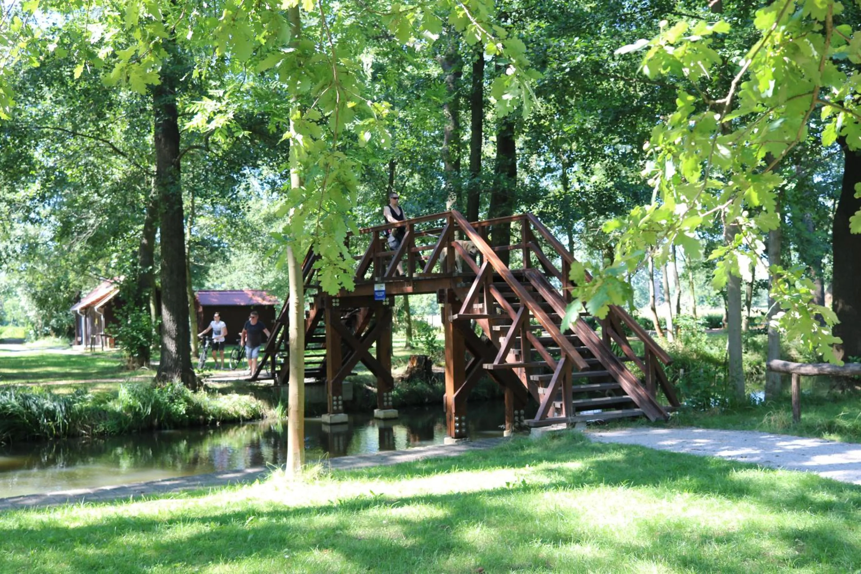 Natural landscape in Spreewaldhotel Garni Raddusch