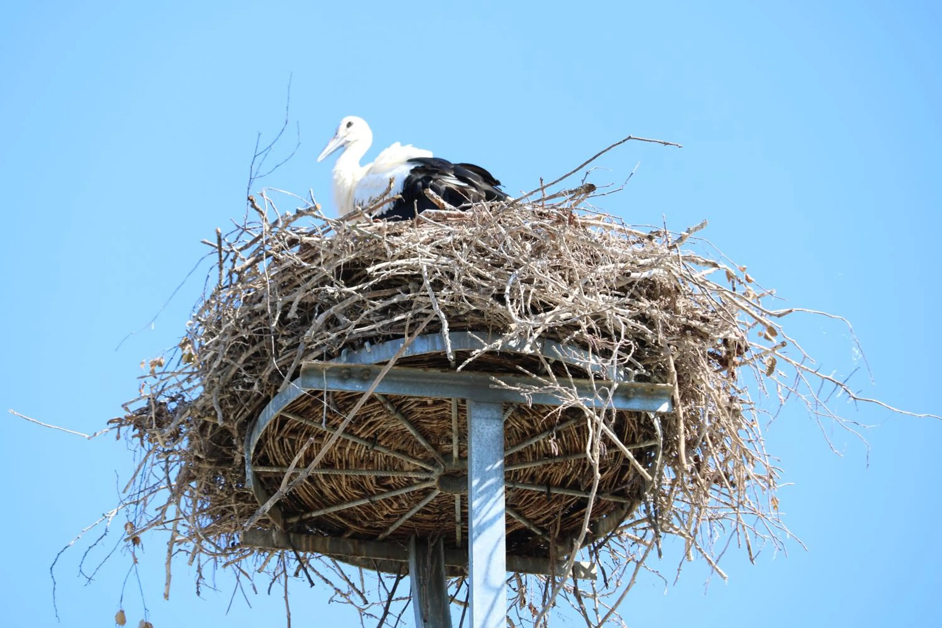 Nearby landmark in Spreewaldhotel Garni Raddusch