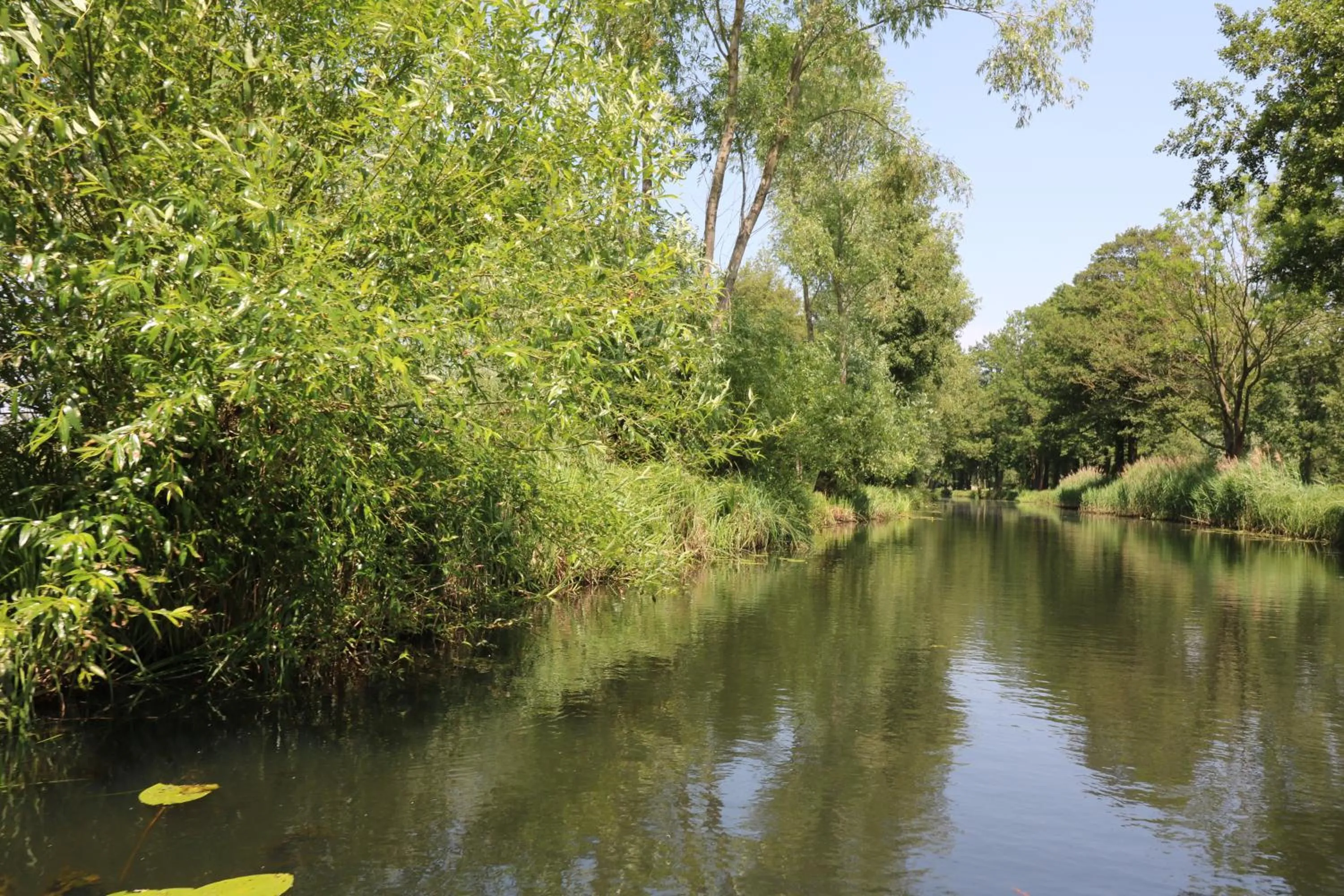 Nearby landmark in Spreewaldhotel Garni Raddusch