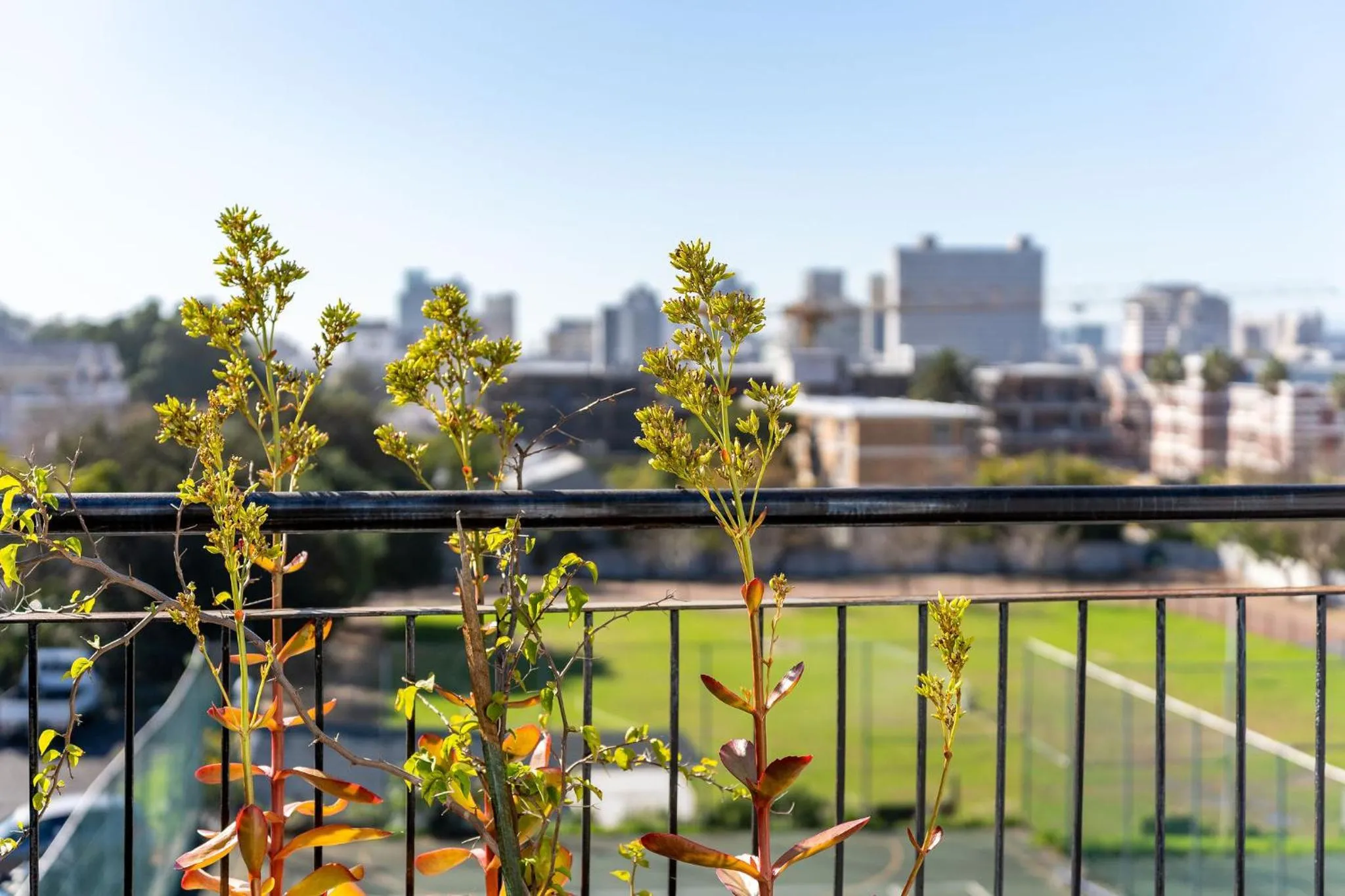 City view in Cloud 9 Boutique Hotel and Spa