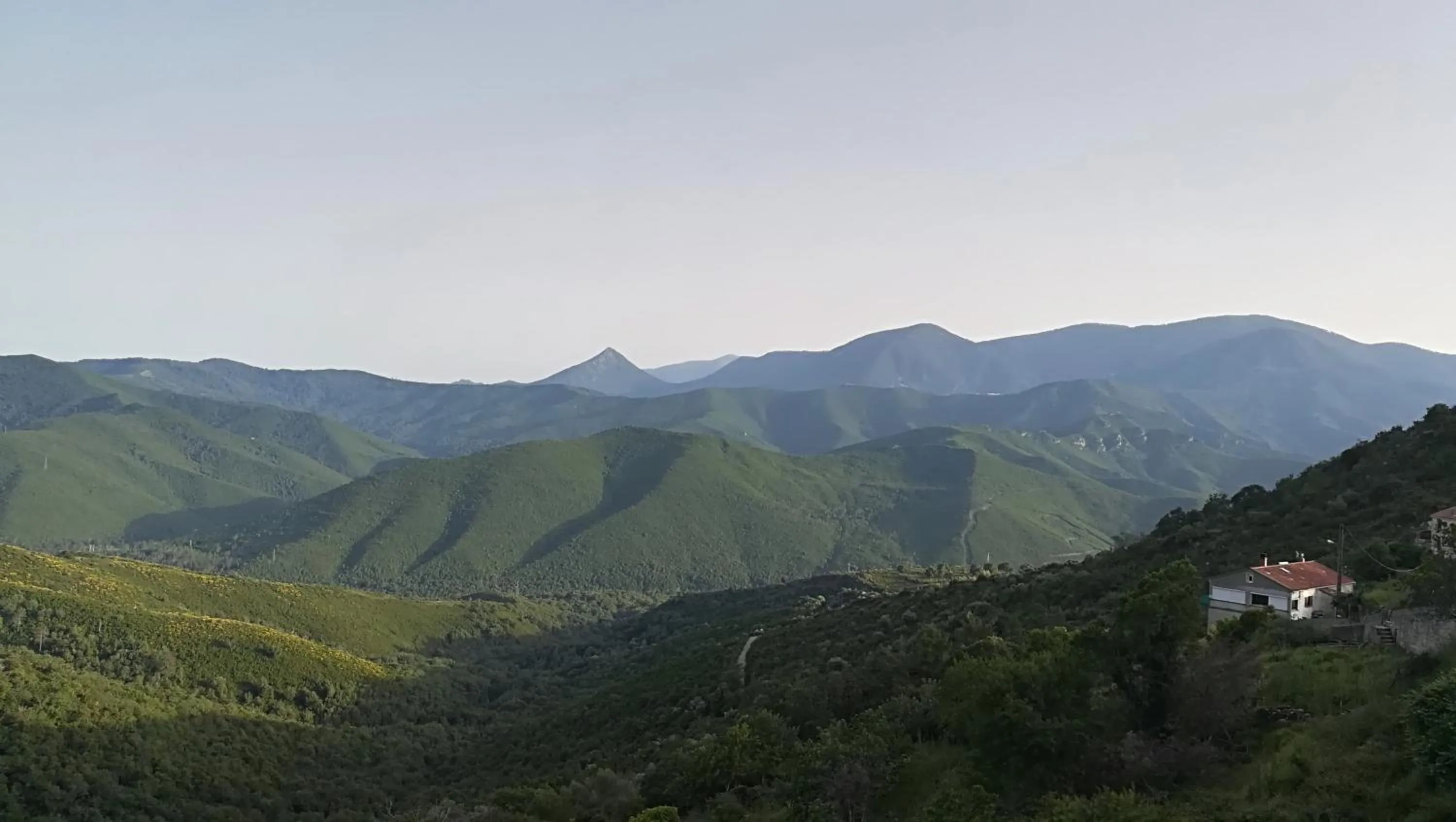 Rinasce In Corsica