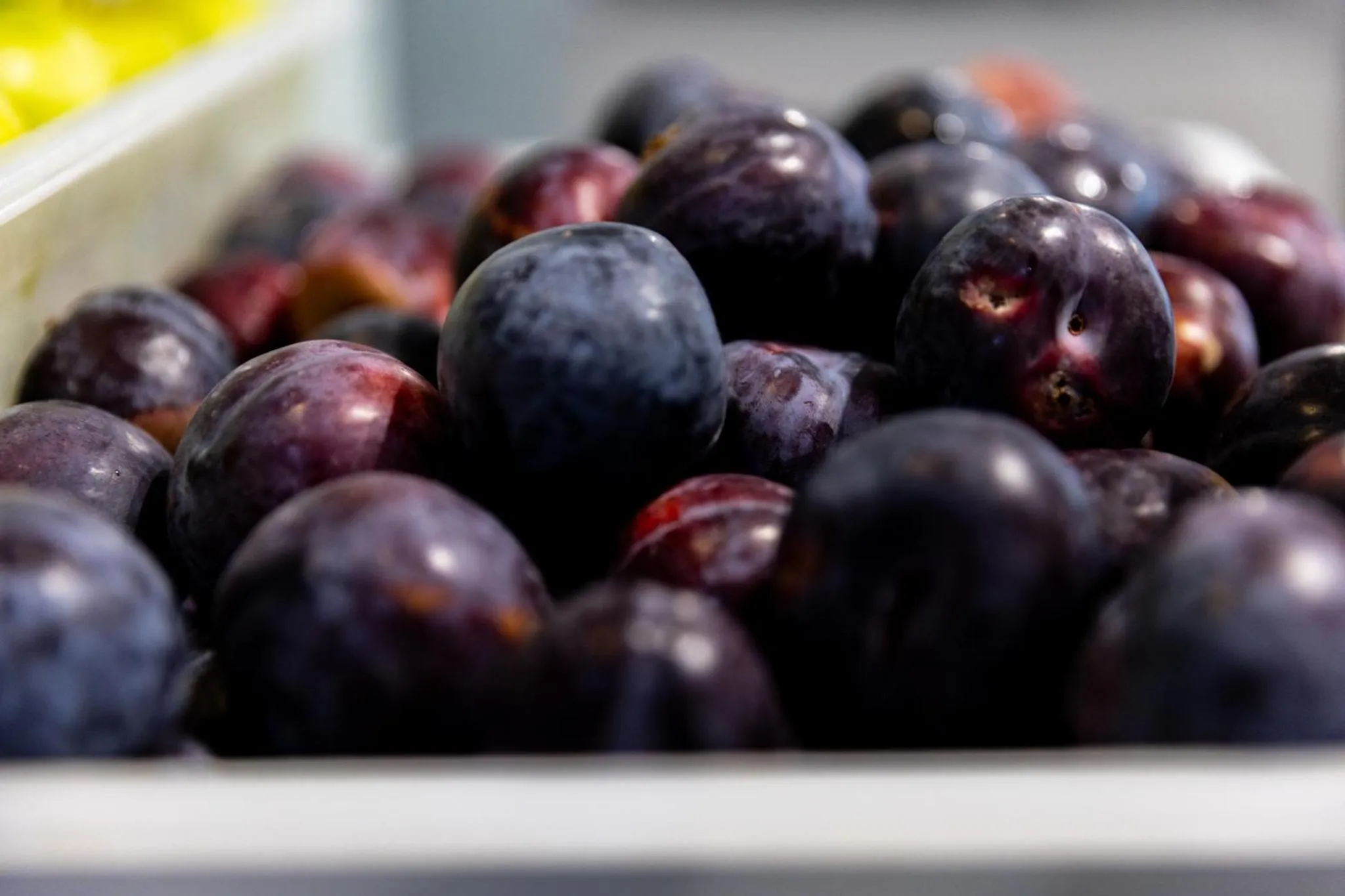 Food and drinks in MPM Hotel Kalina Garden - All Inclusive