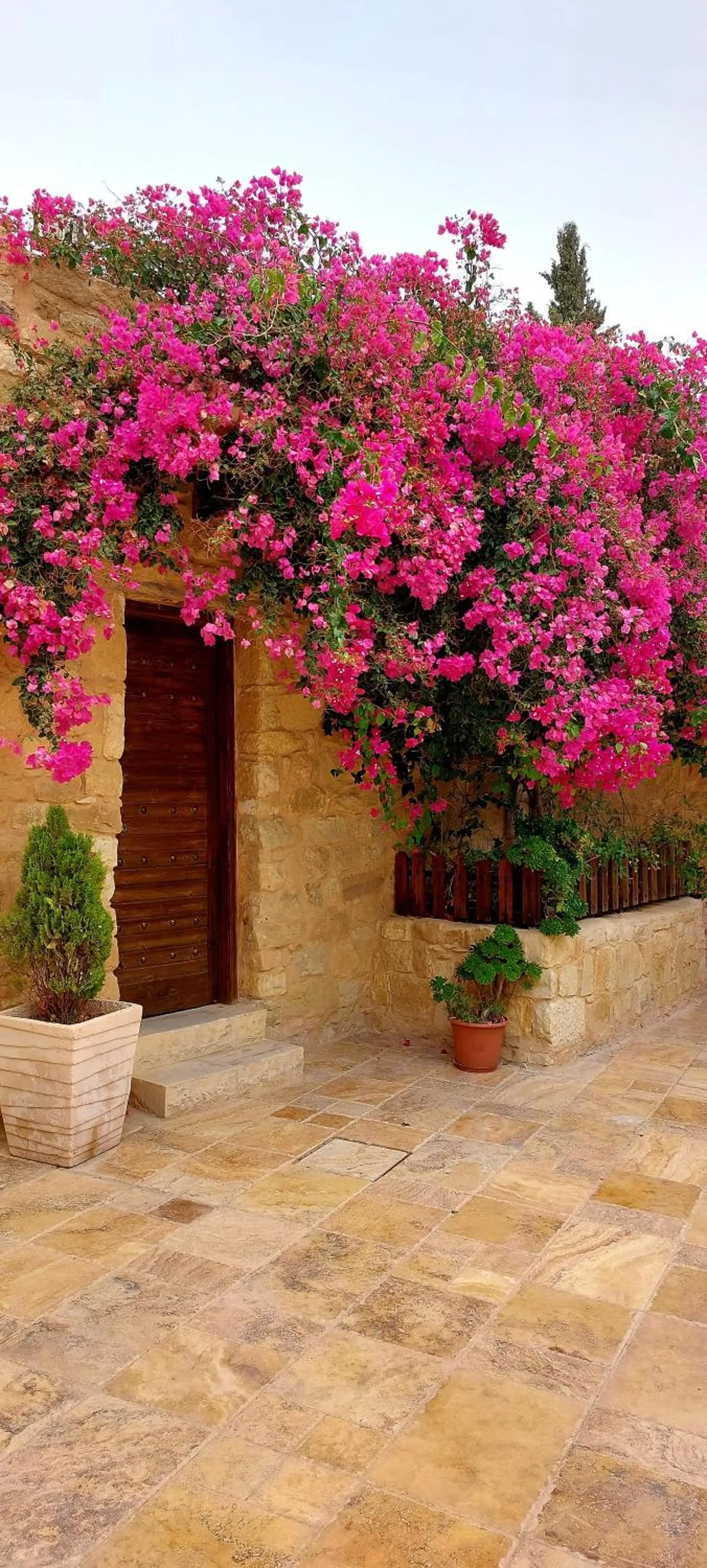 Hayat Zaman Hotel And Resort Petra