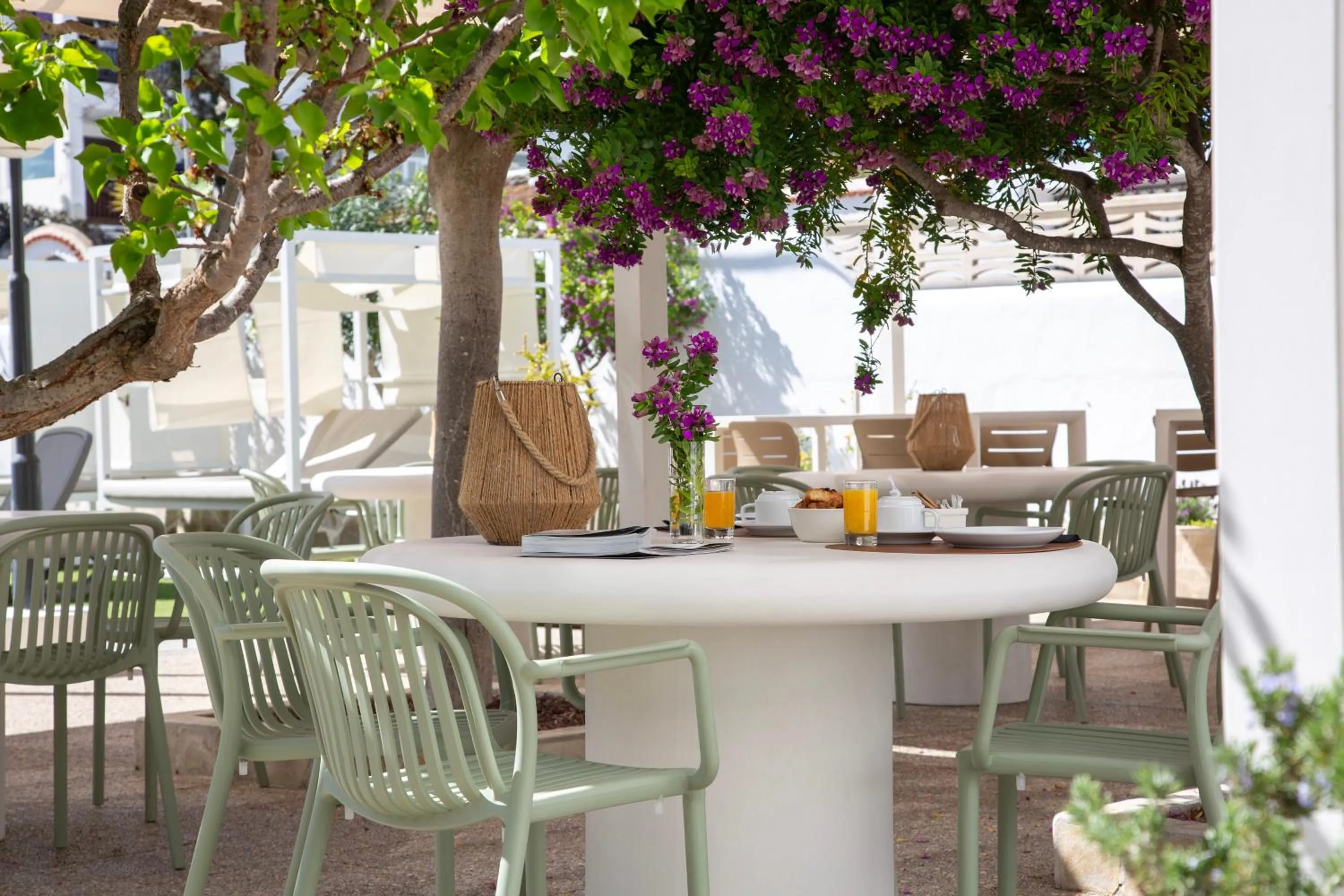 Food and drinks in Casual Bahía Ibiza