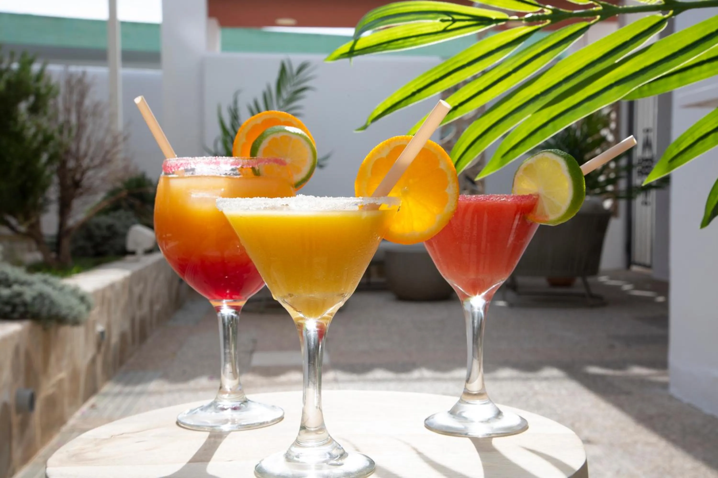 Drinks in Casual Bahía Ibiza