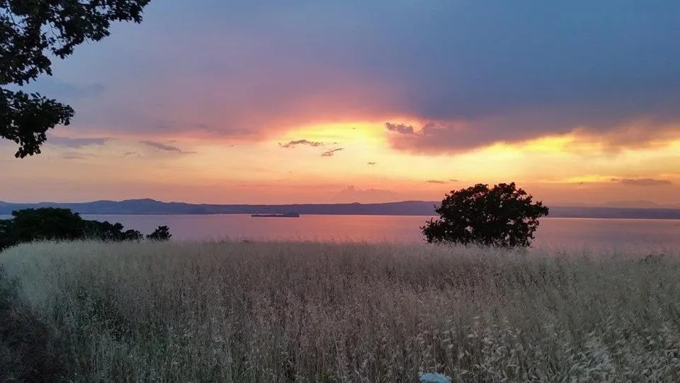 Natural landscape in Hotel Italia & Lombardi
