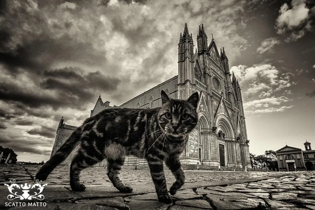 Hotel Italia & Lombardi