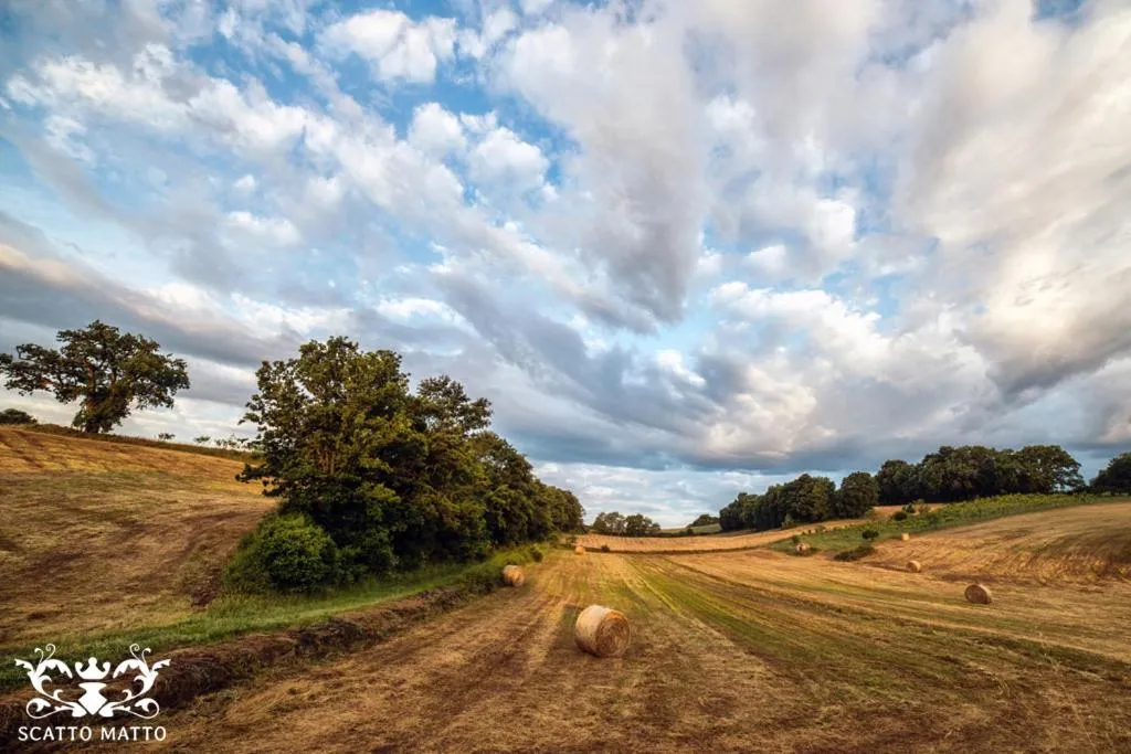 Hotel Italia & Lombardi