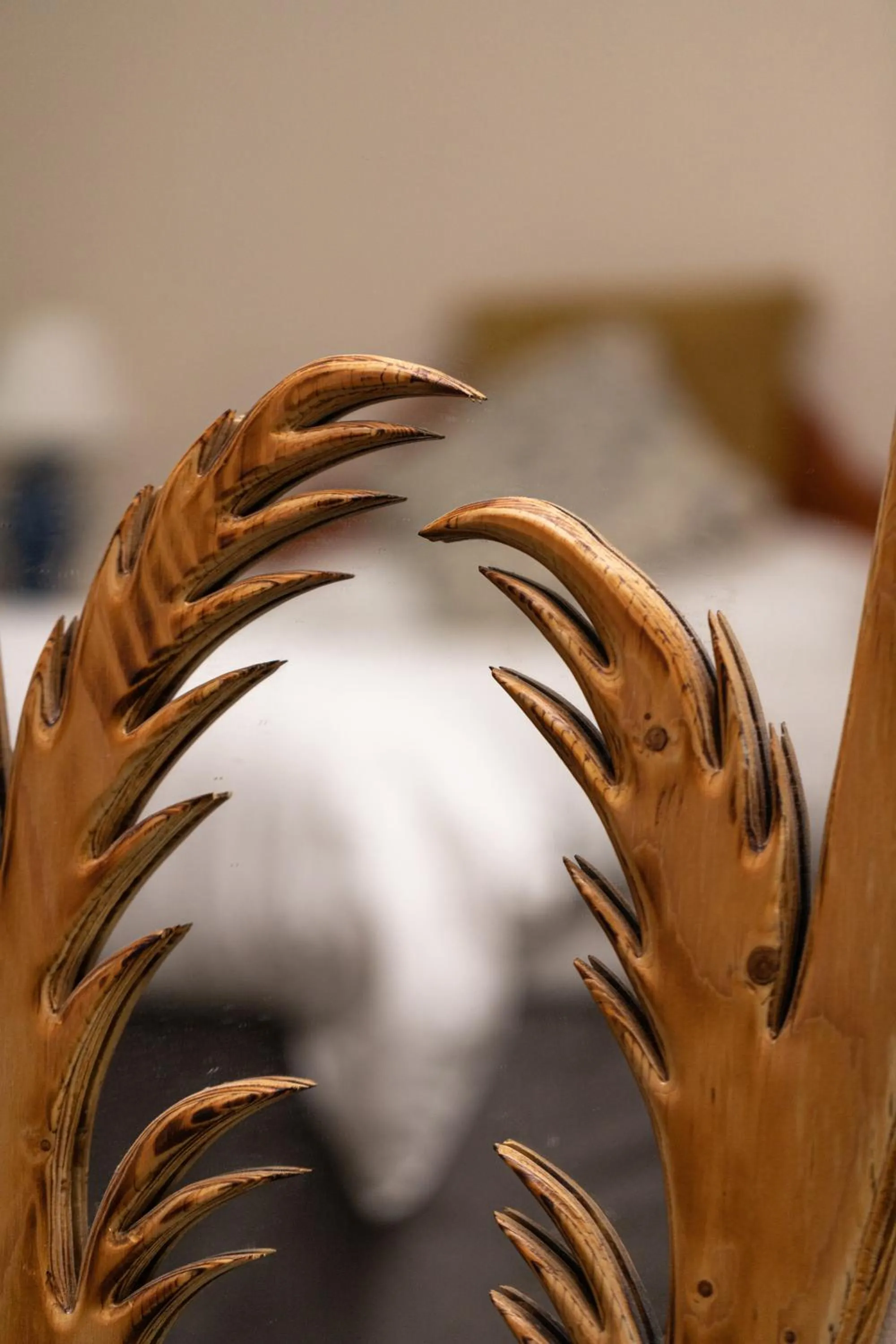 Animals in The Rosscourt