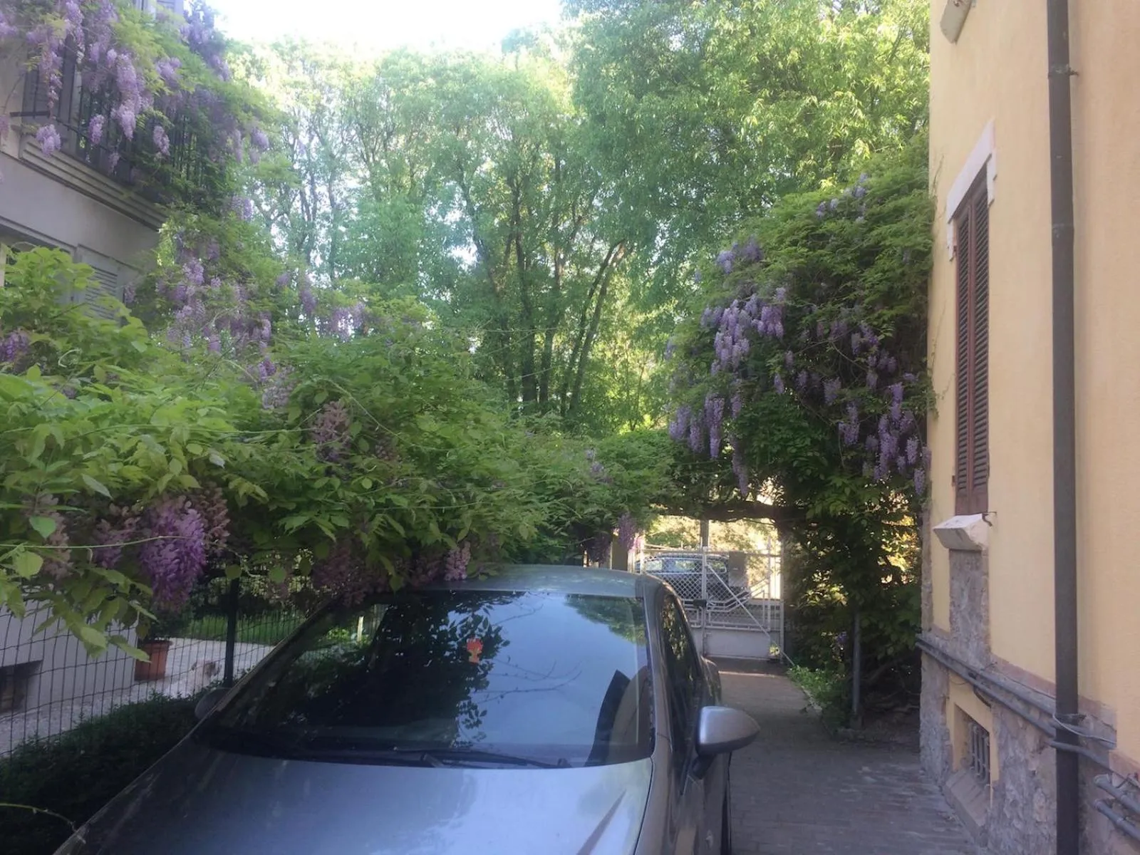 Spring, Swimming Pool in B&B Cittadella