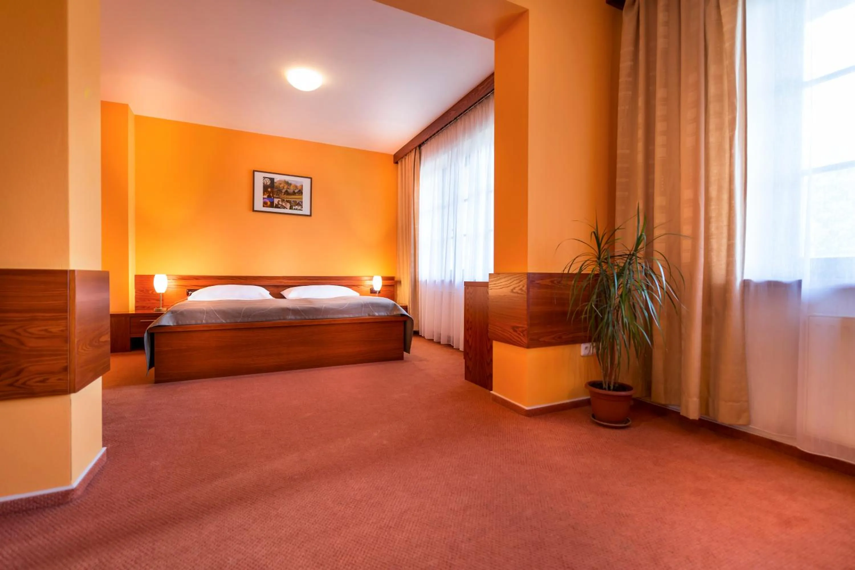 Photo of the whole room, Bed in Hotel SKANZEN