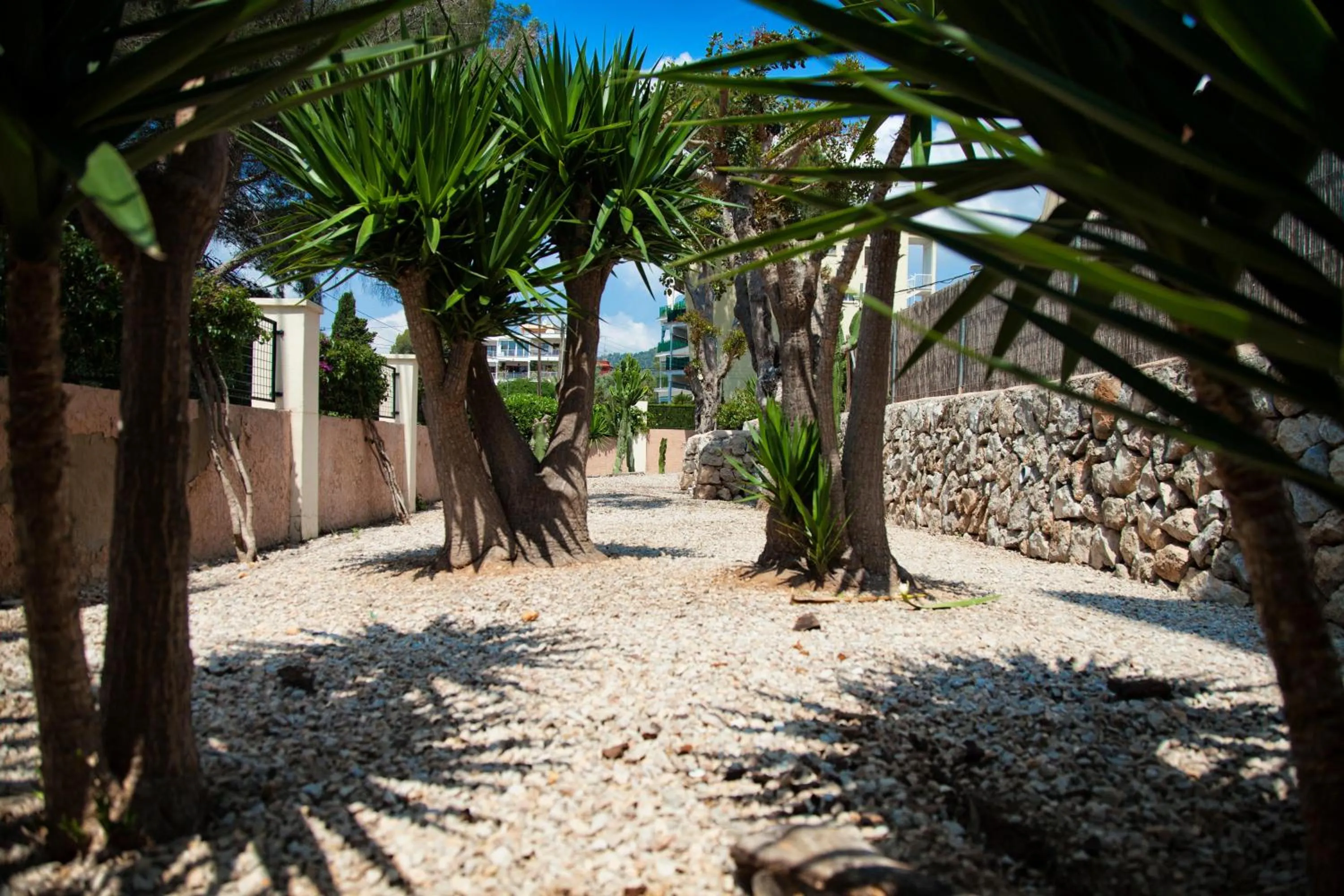 Garden in Naika Studios & Apartments