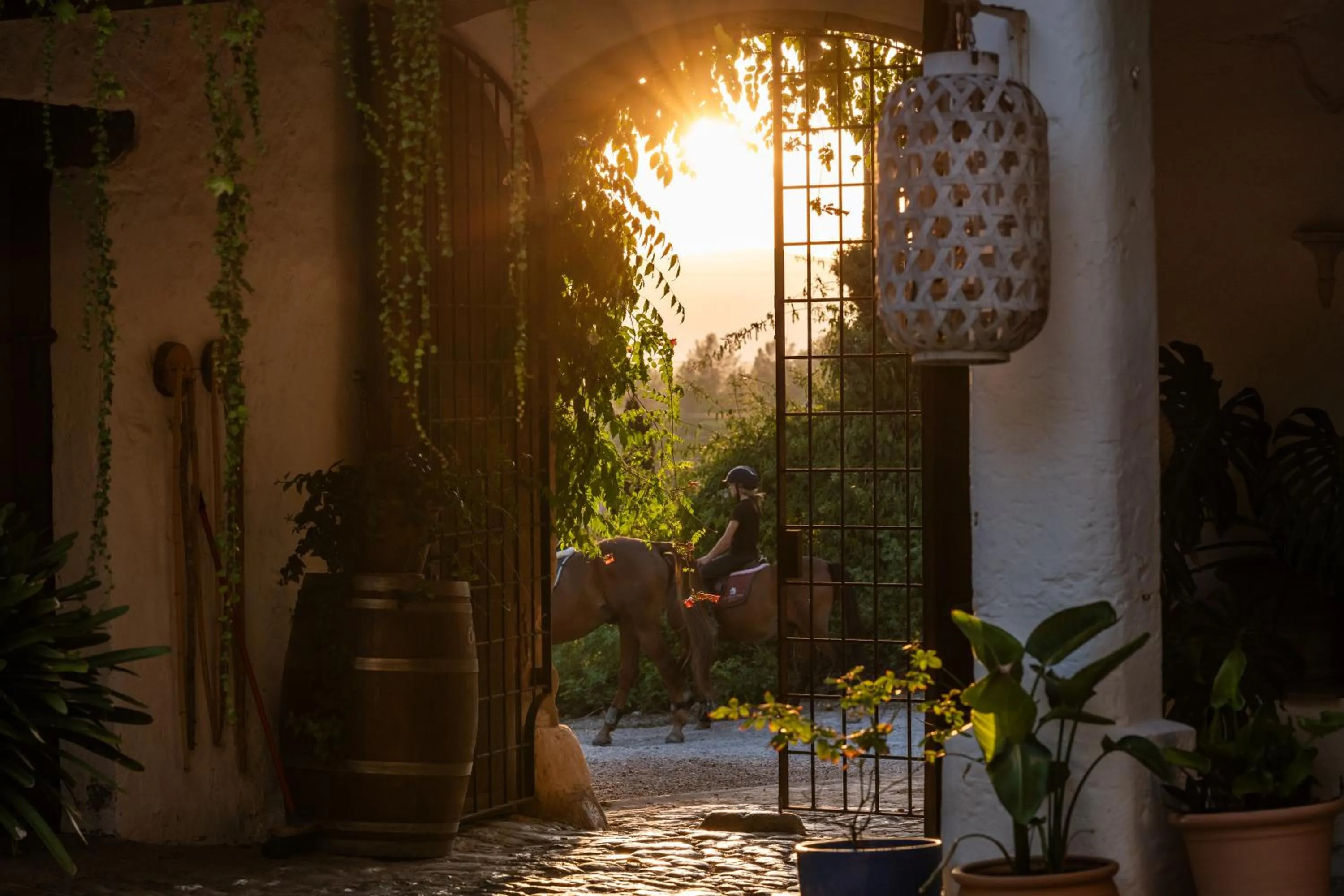 Agroturismo Son Boronat