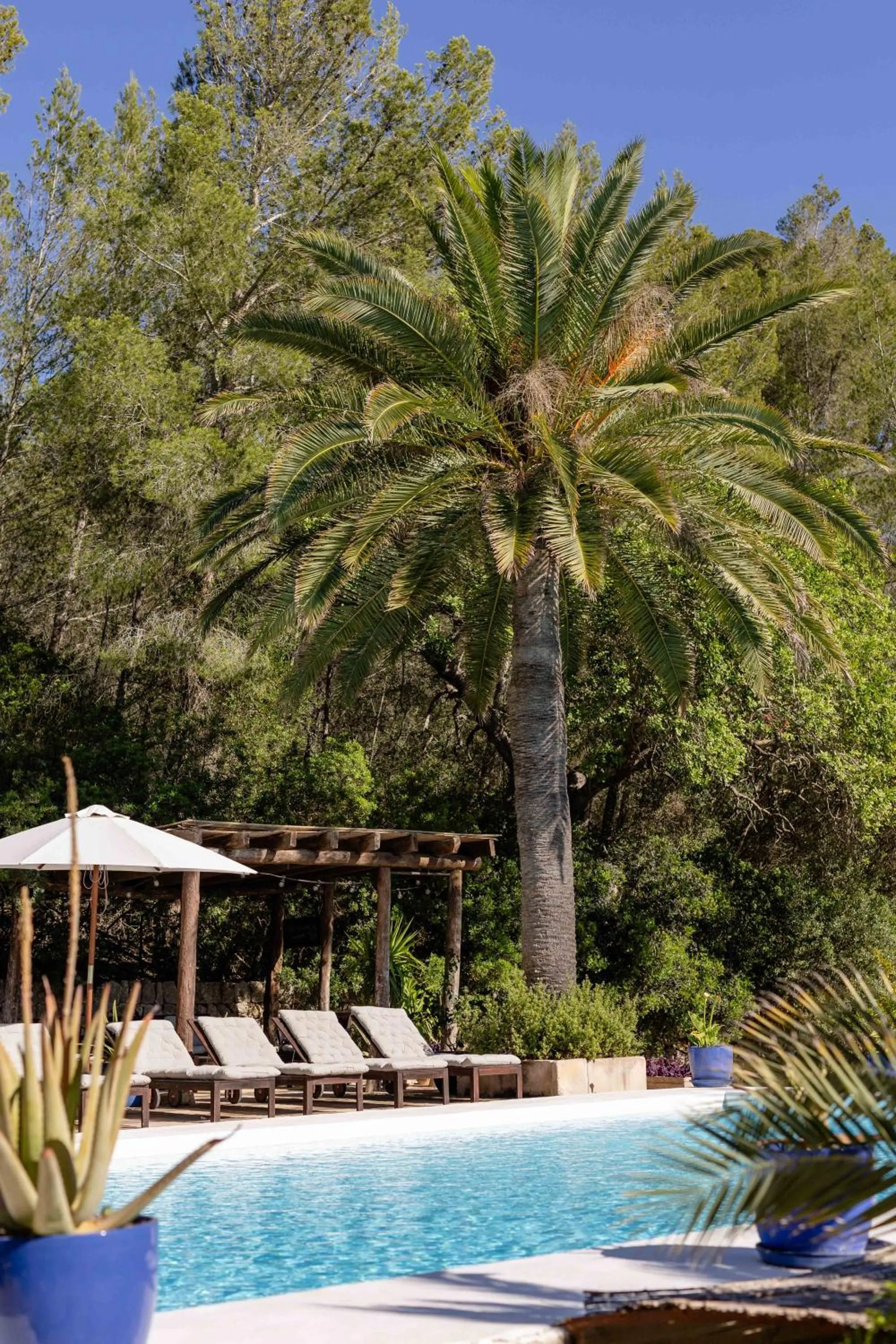 Spring in Agroturismo Son Boronat