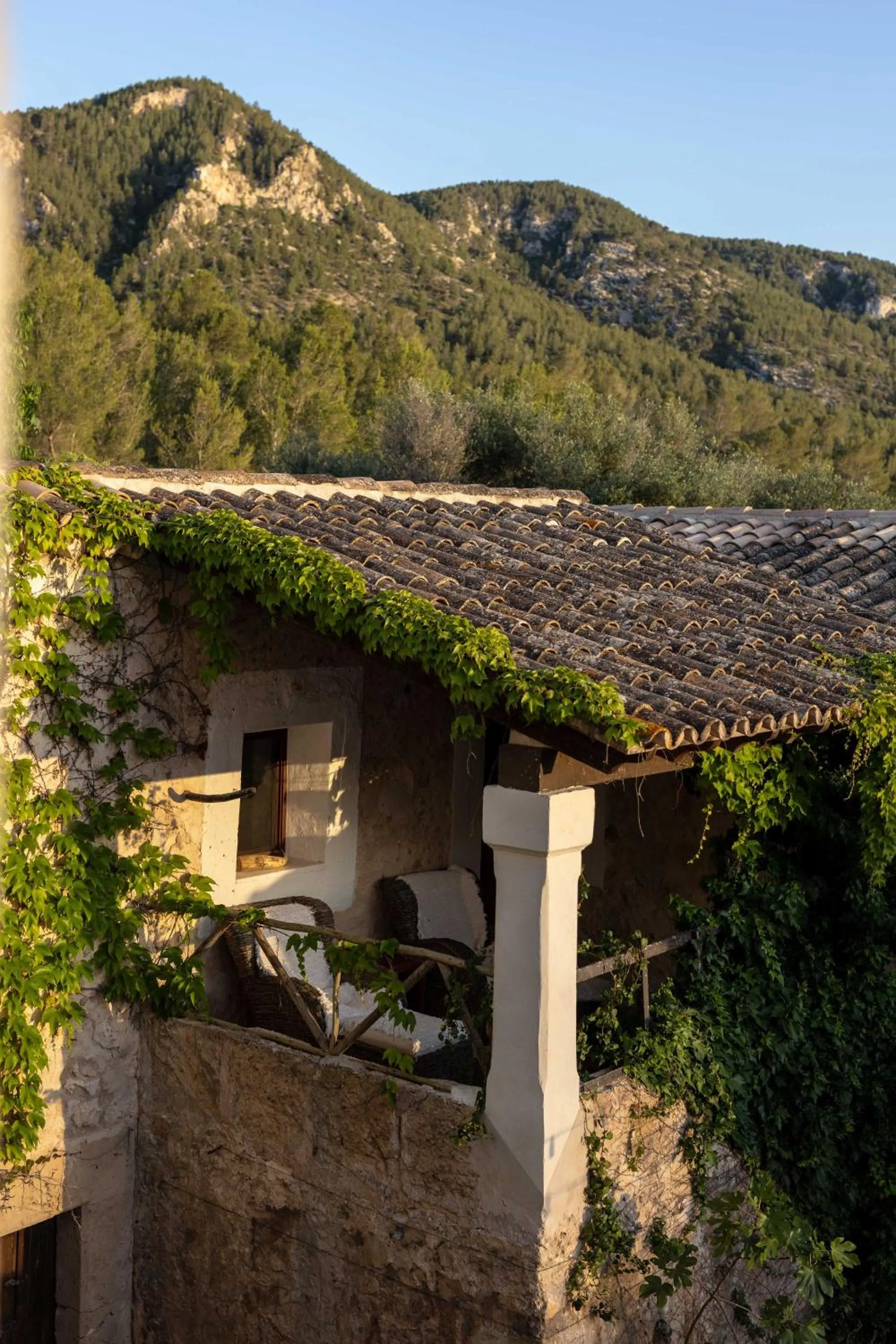 Mountain view in Agroturismo Son Boronat