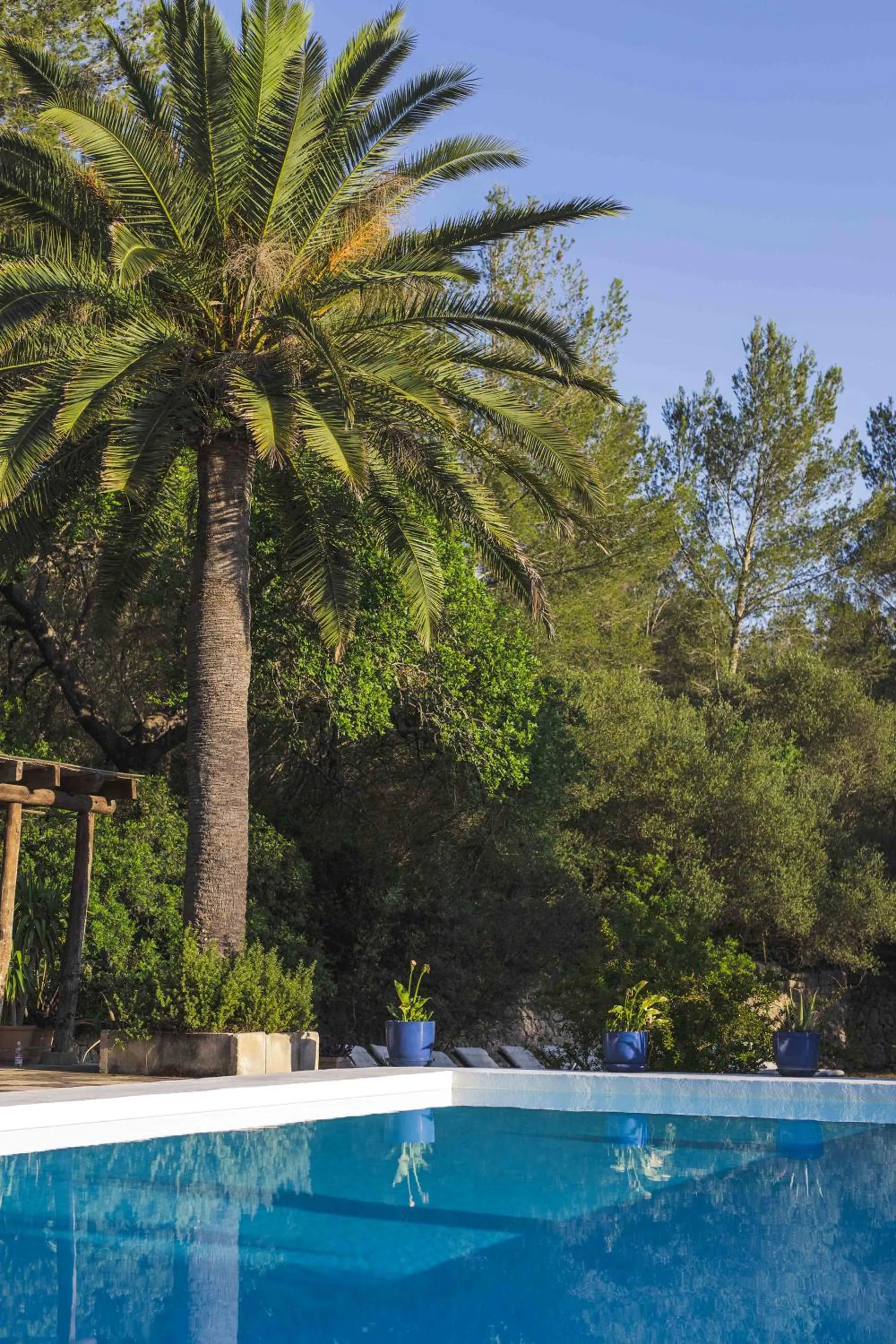 Spring in Agroturismo Son Boronat