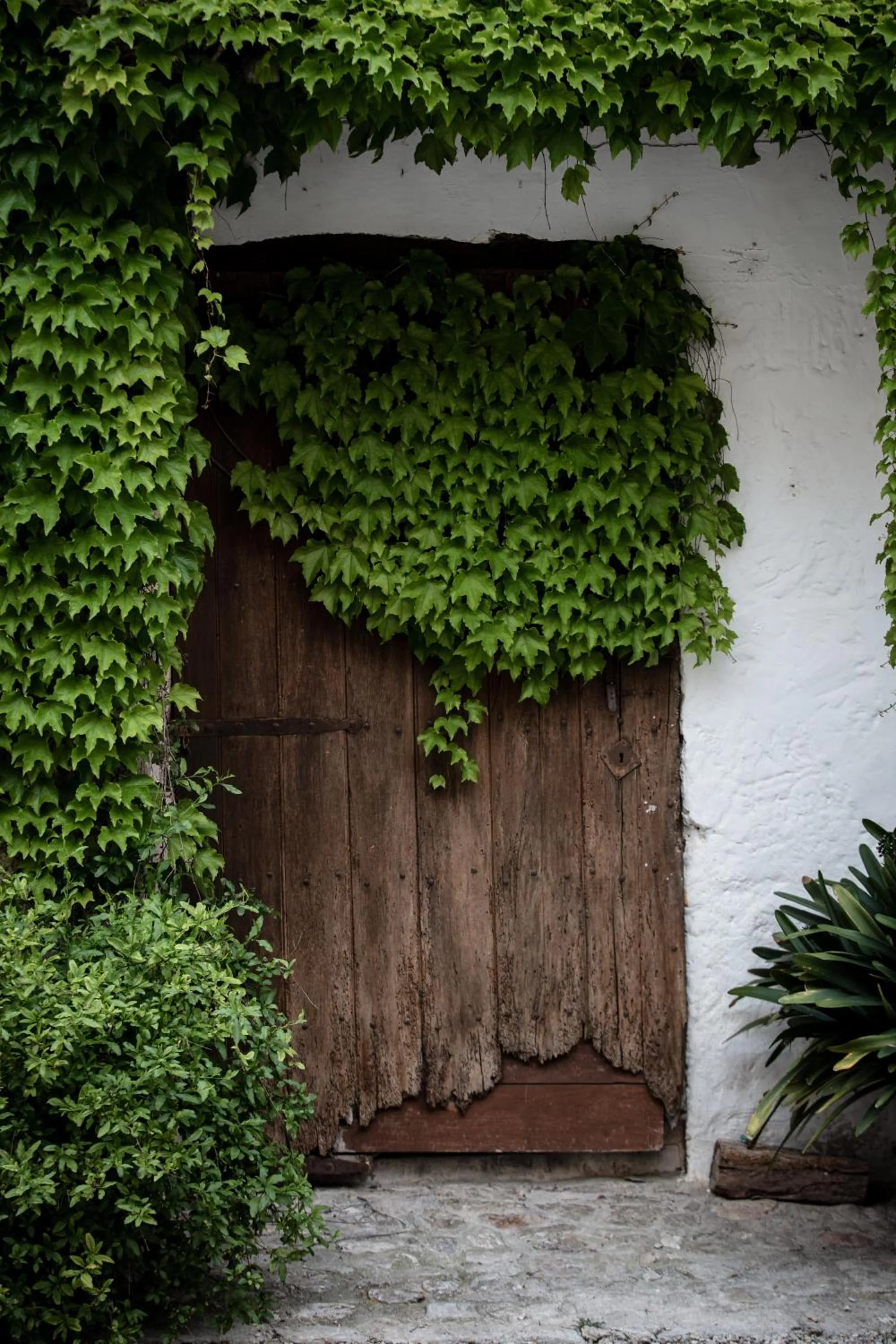 Agroturismo Son Boronat