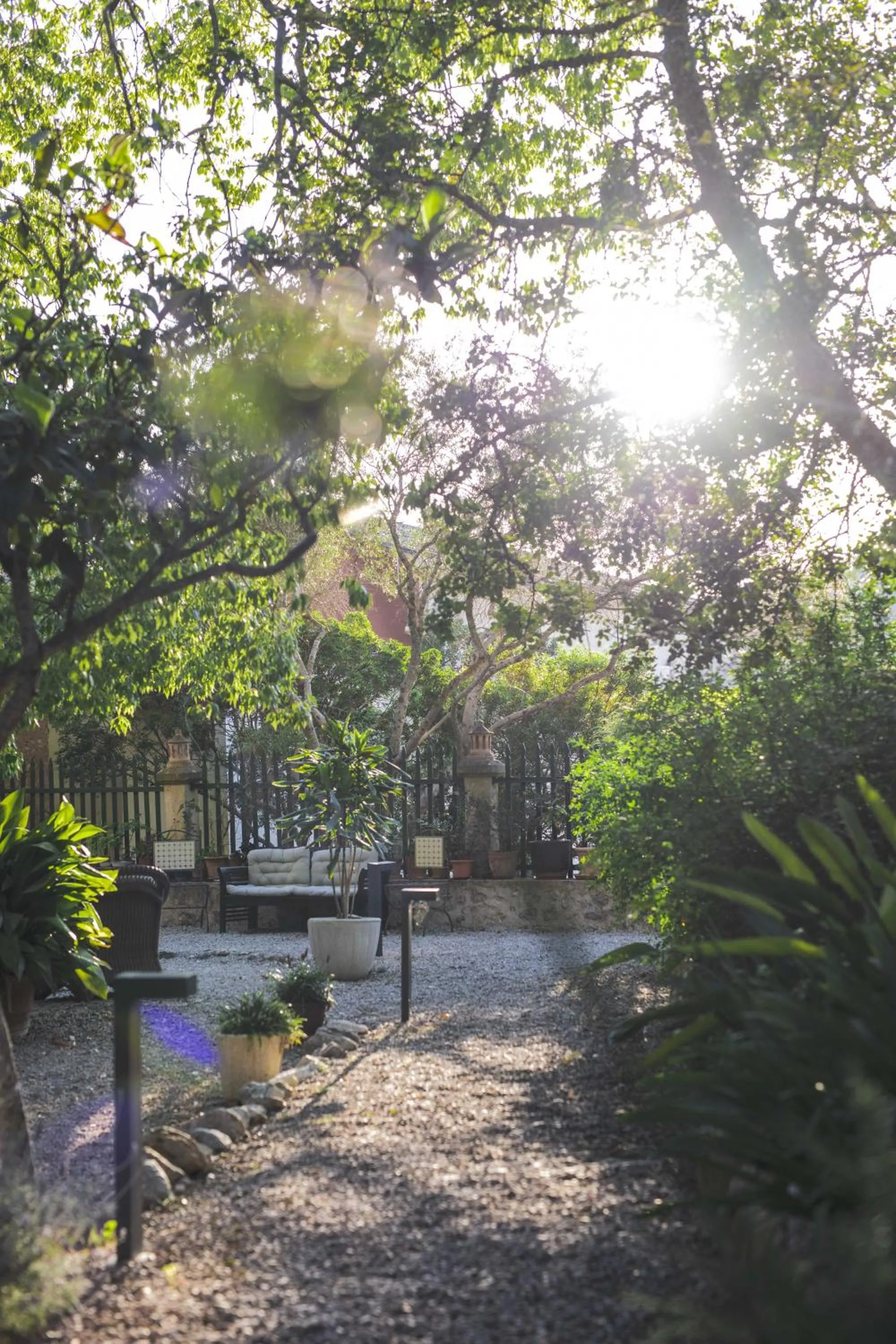 Garden view in Agroturismo Son Boronat