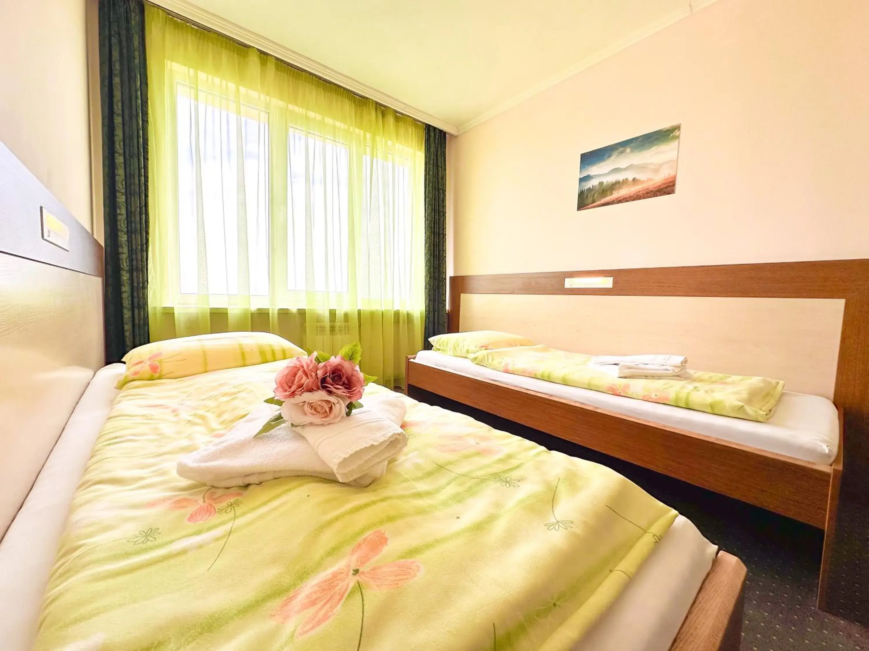 Deluxe Twin Room in Hotel Gorna Banya Deluxe Twin Room in Hotel Gorna Banya