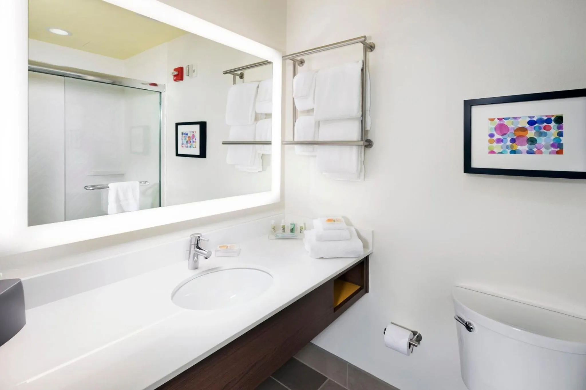 Bathroom in Holiday Inn & Suites Arden - Asheville Airport by IHG