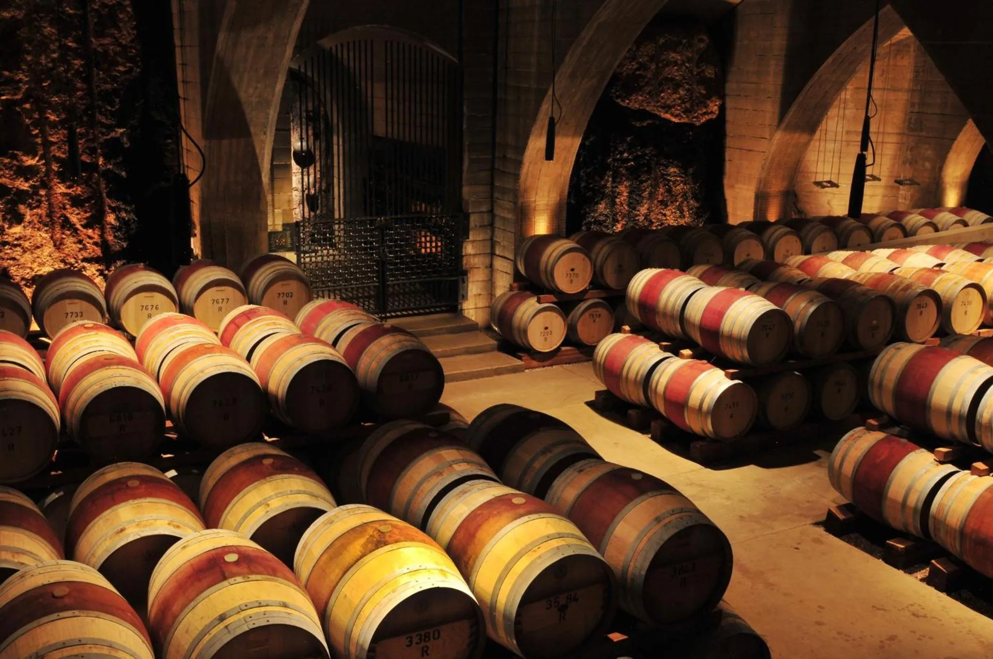 Area and facilities in Holiday Inn Express & Suites Kelowna - East by IHG