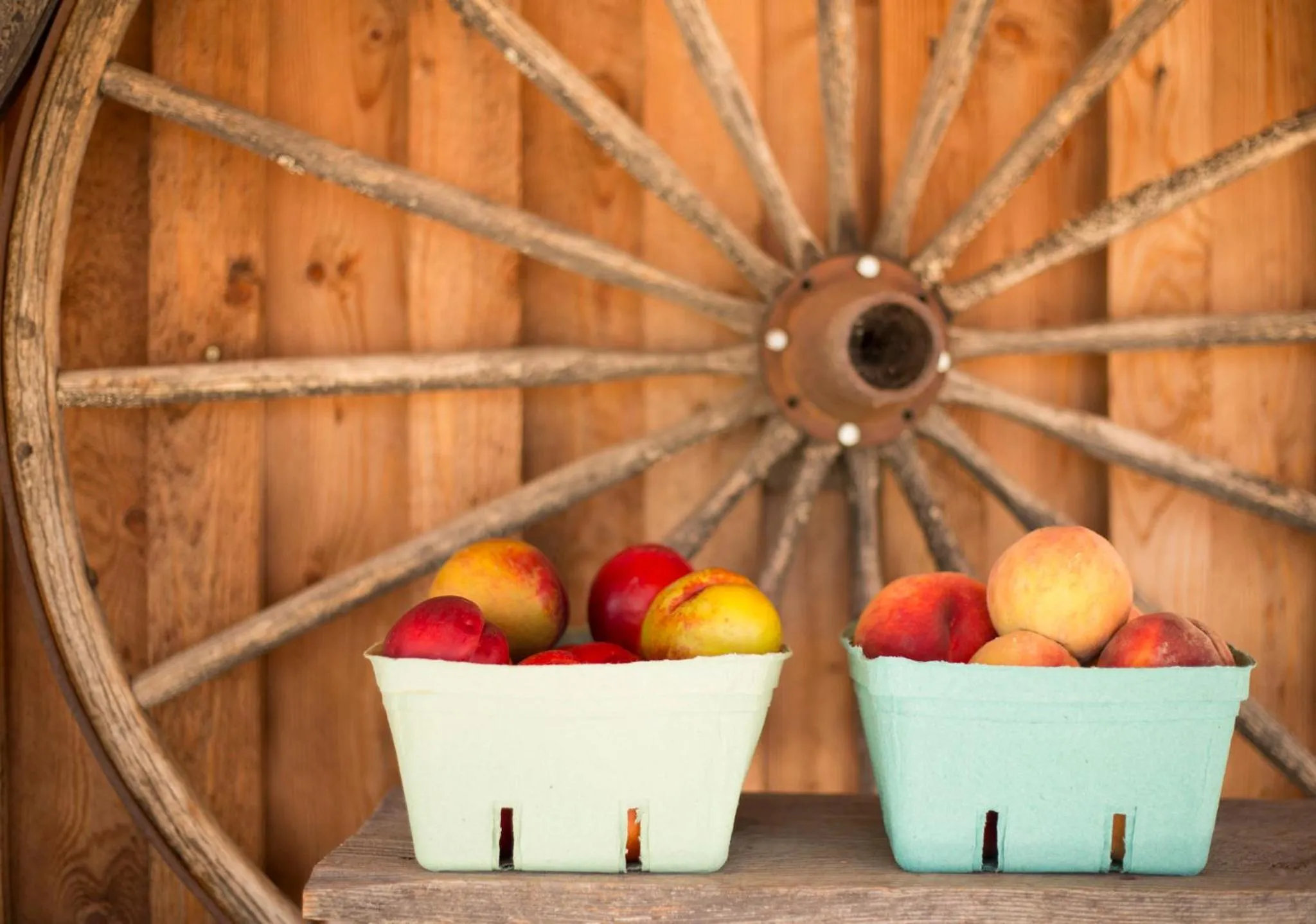 Area and facilities in Holiday Inn Express & Suites Kelowna - East by IHG