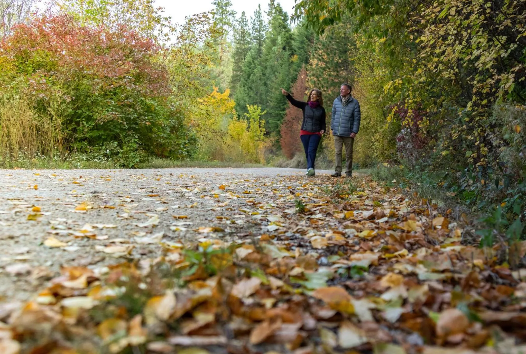 Area and facilities in Holiday Inn Express & Suites Kelowna - East by IHG