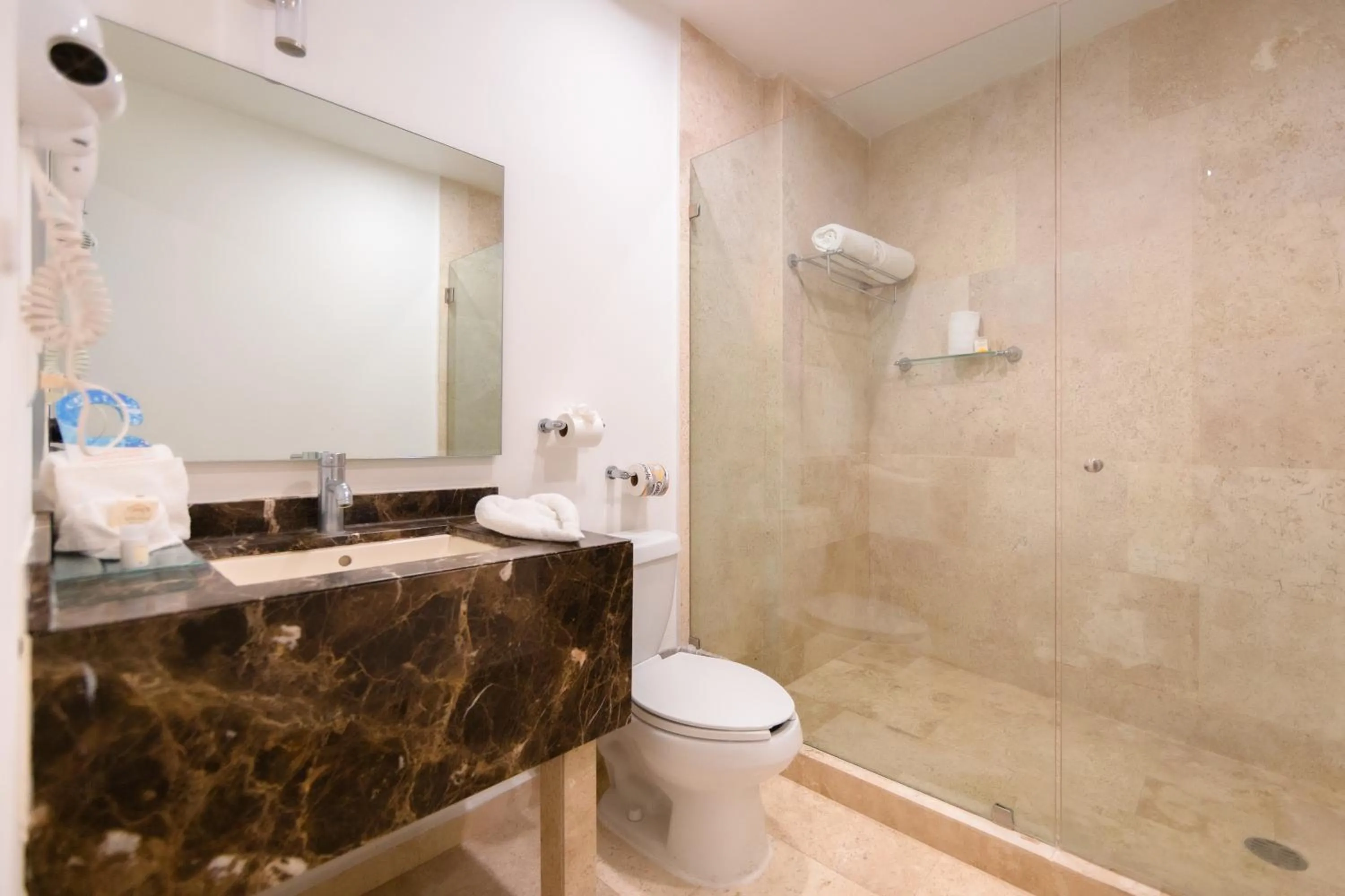 Shower in Comfort Inn Queretaro Tecnologico