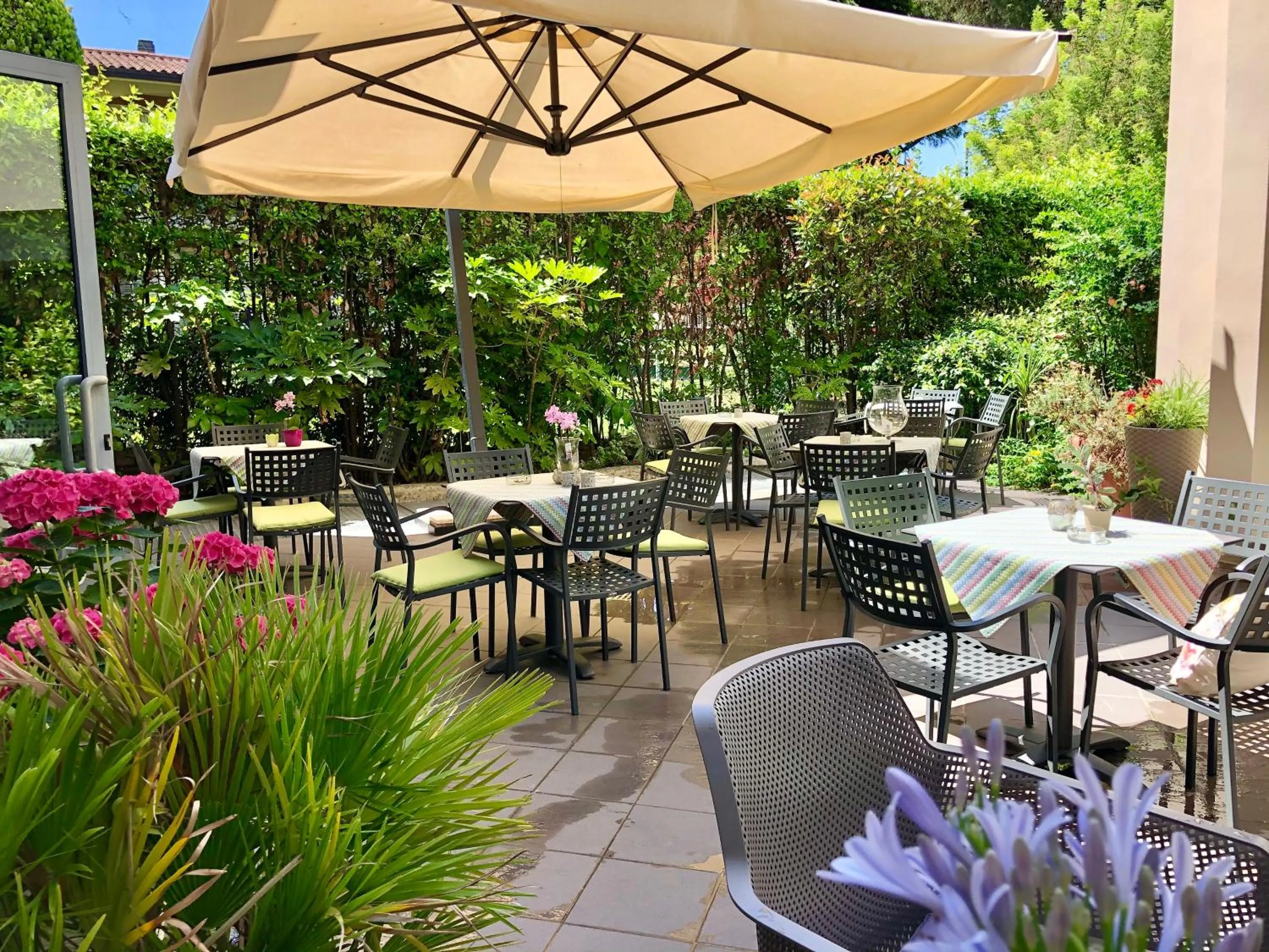 Patio in Hotel Alfieri