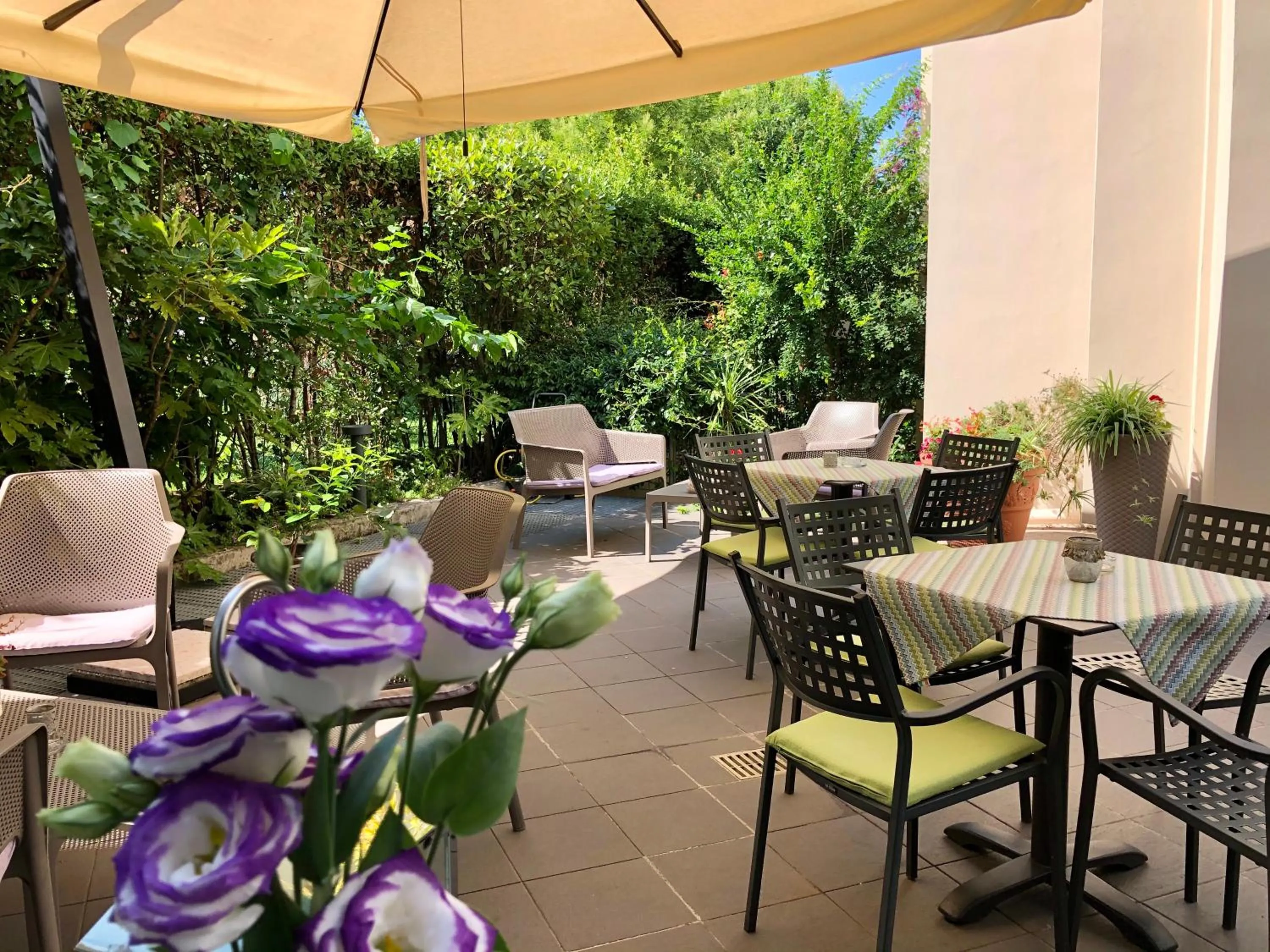 Garden in Hotel Alfieri