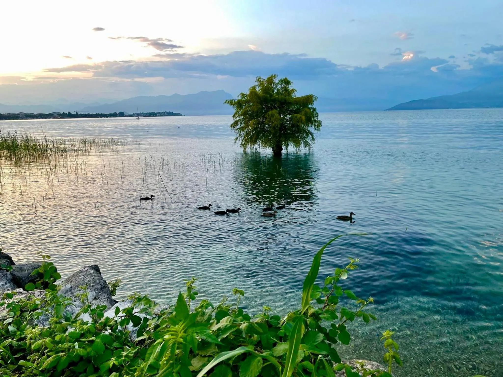 Nearby landmark in Hotel Alfieri