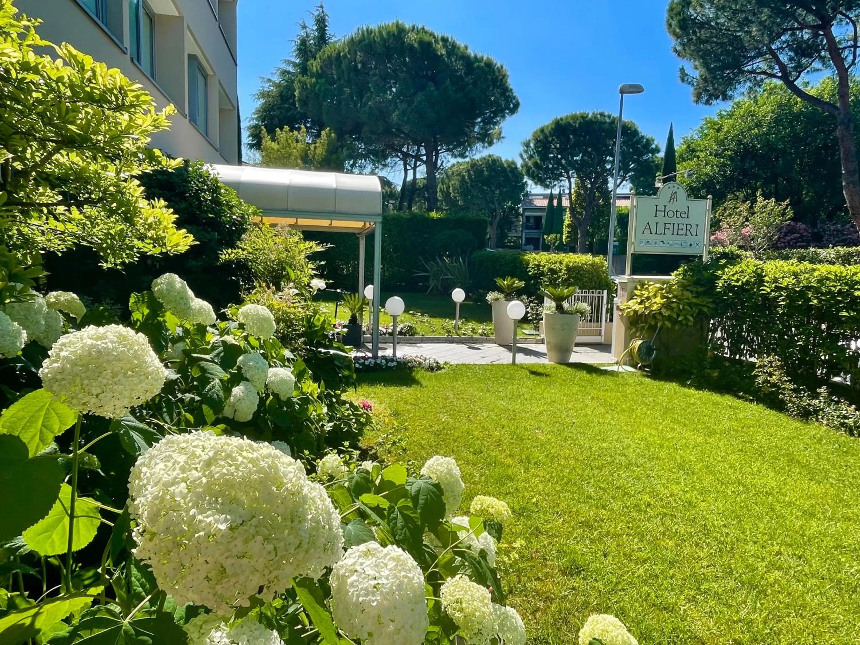 Garden in Hotel Alfieri