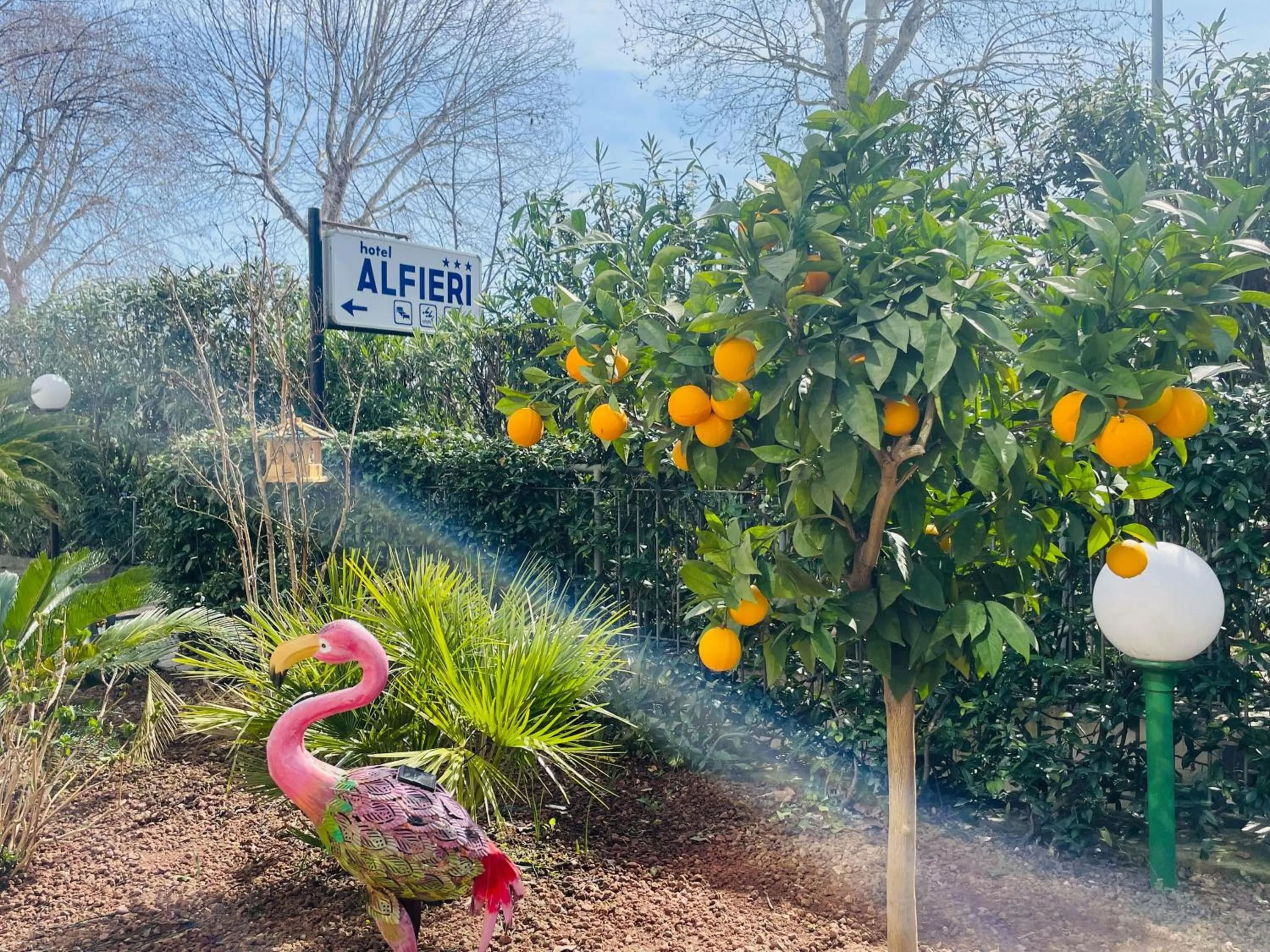 Garden in Hotel Alfieri