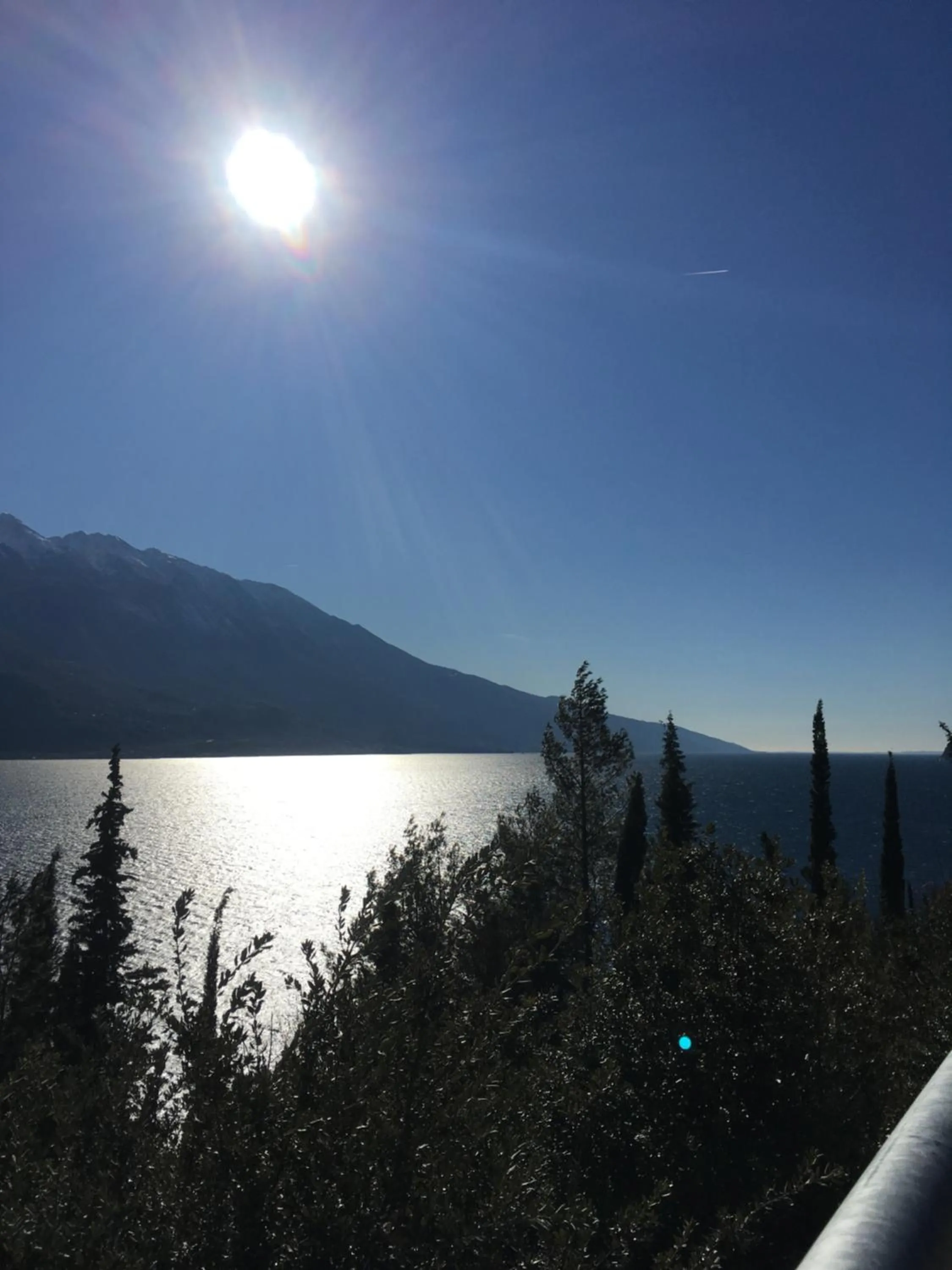 Natural landscape in Hotel Alfieri